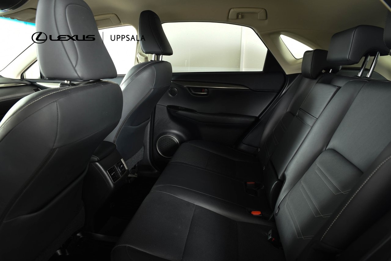Lexus NX 300h AWD Executive Drag 2018, bild 7/10