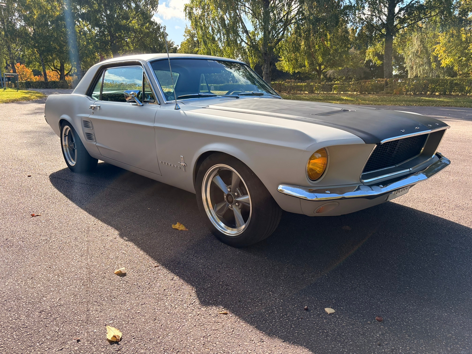 Ford Mustang 1967, bild 3/10