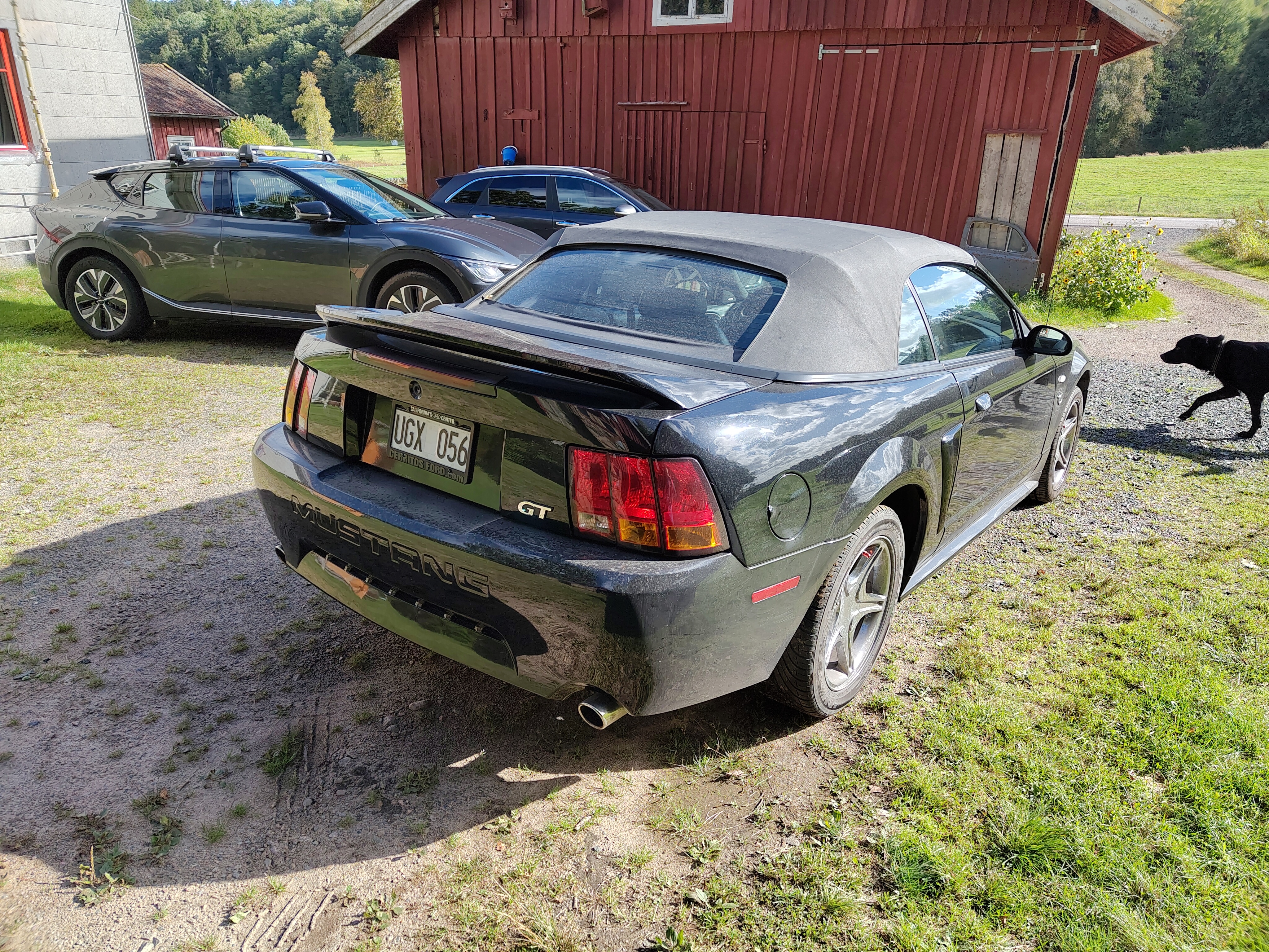 Ford Mustang GT Convertible Automatisk 1999, bild 5/7