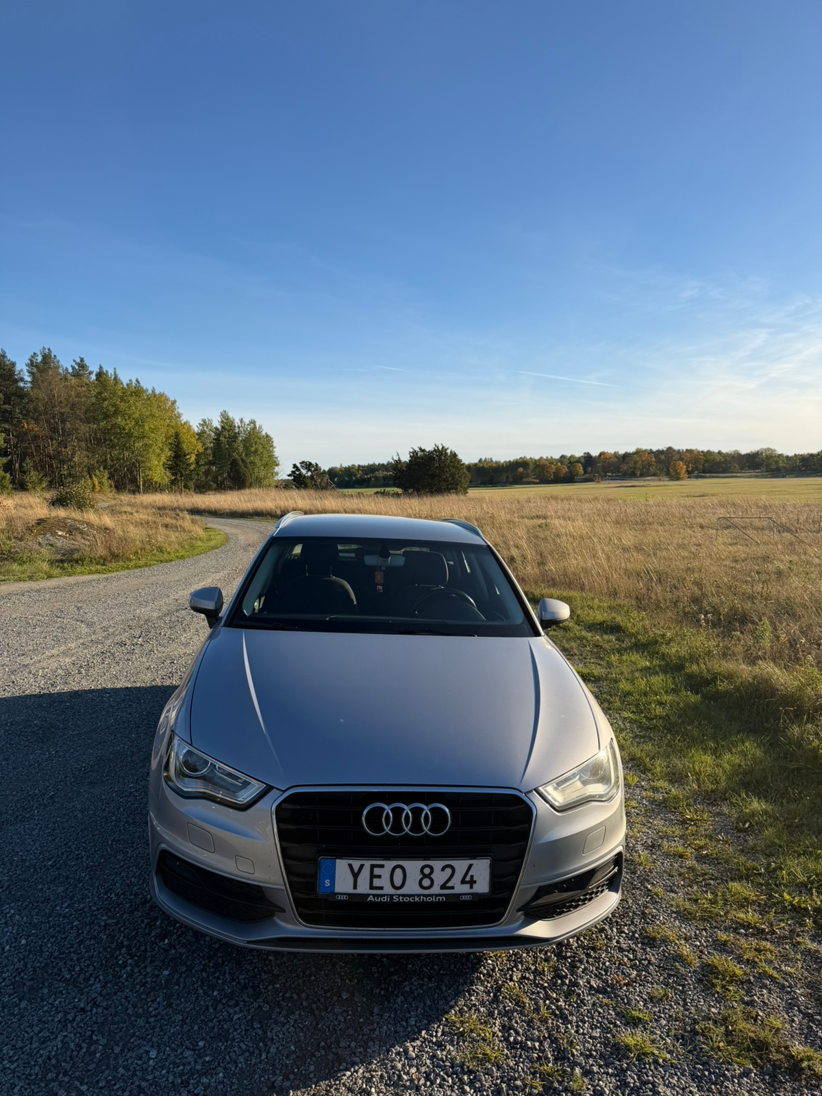 Audi A3 1.4 TFSI 2016, kuva 6/8