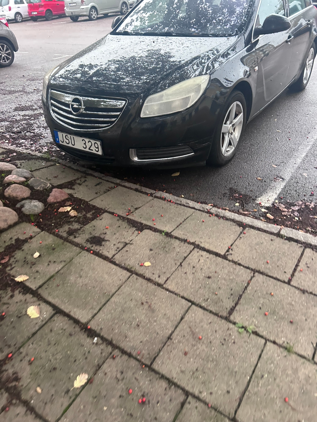 Opel Insignia 2.0 CDTI 2009, bild 2/8
