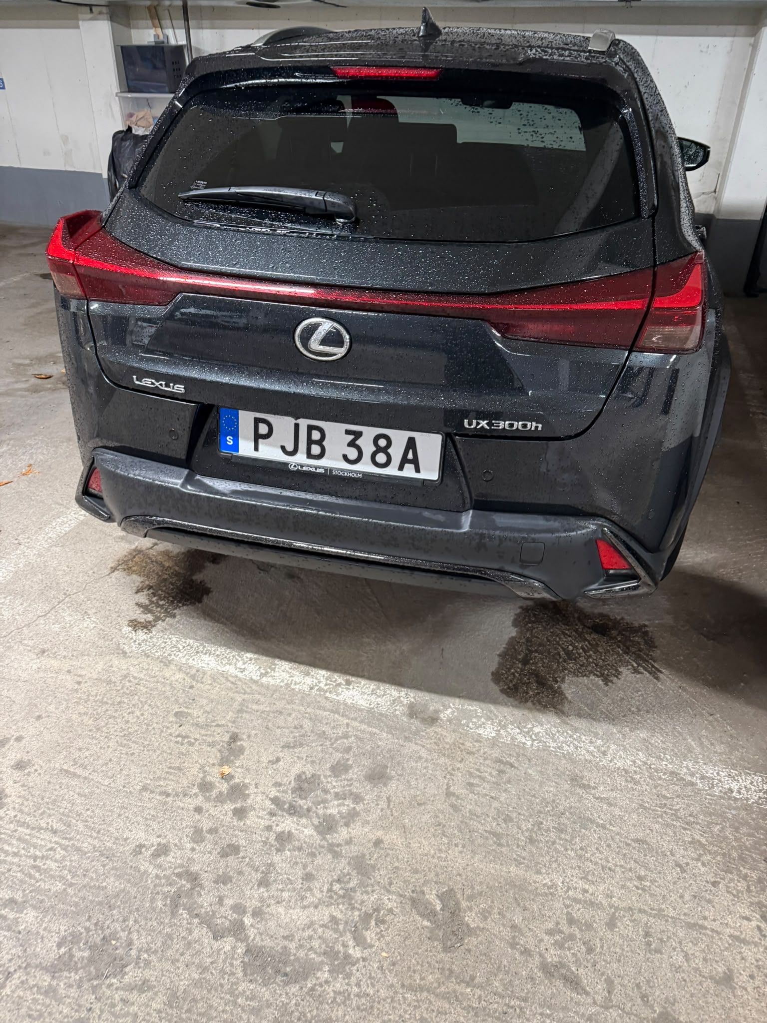 Lexus UX 300h