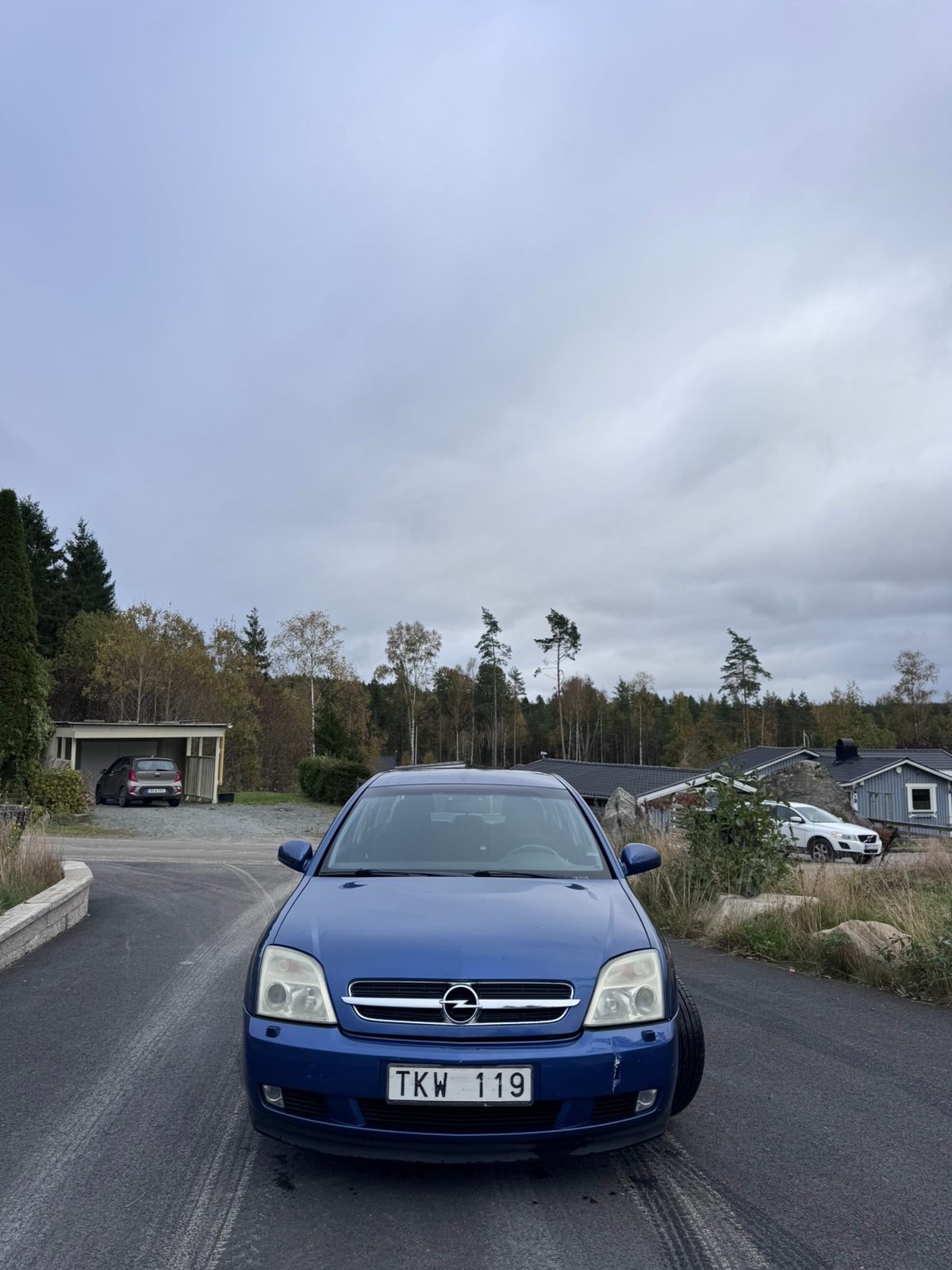 Opel Vectra 2002, bild 7/10