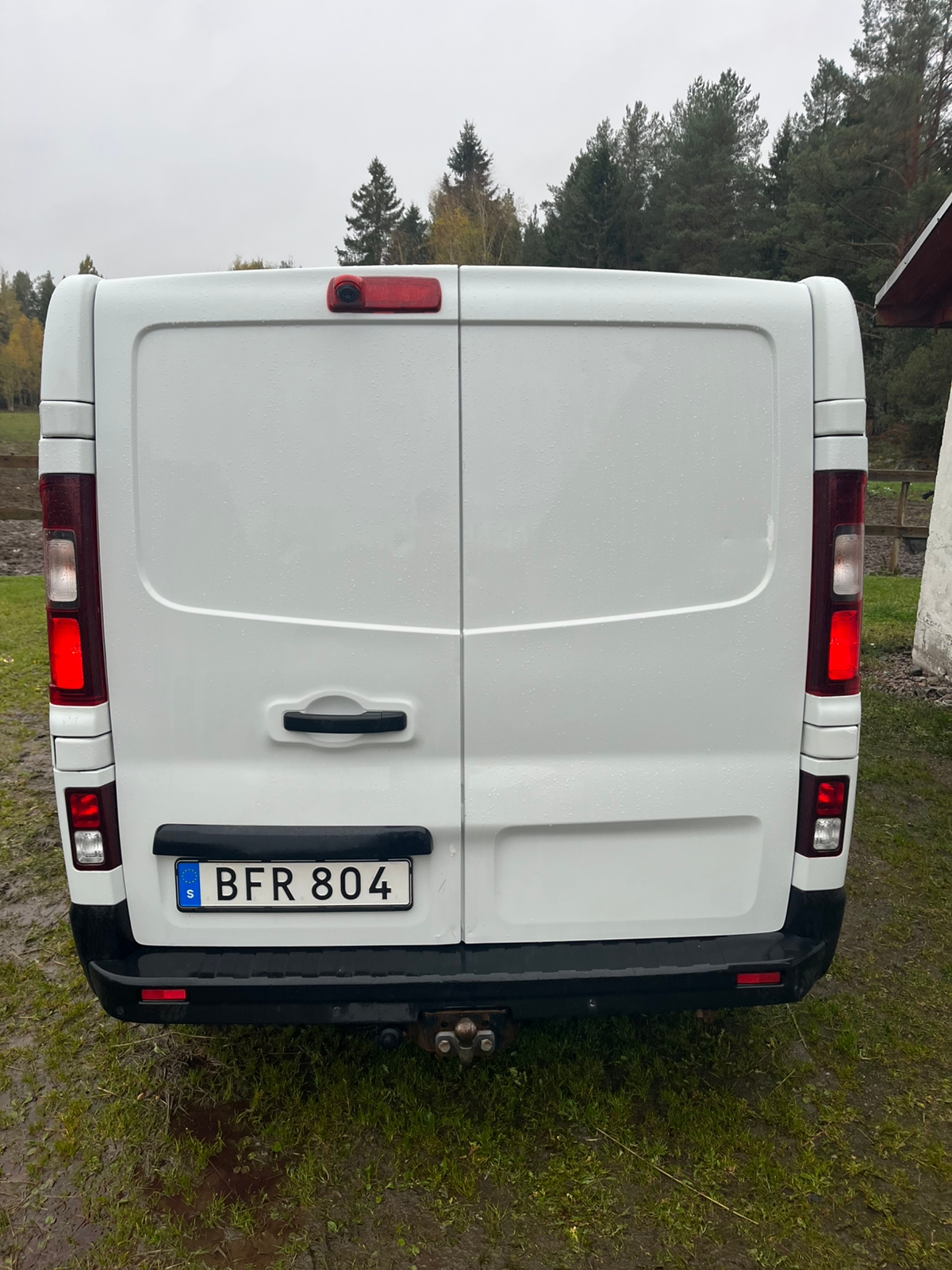 Renault Trafic dCi 125 2018, photo 3/10