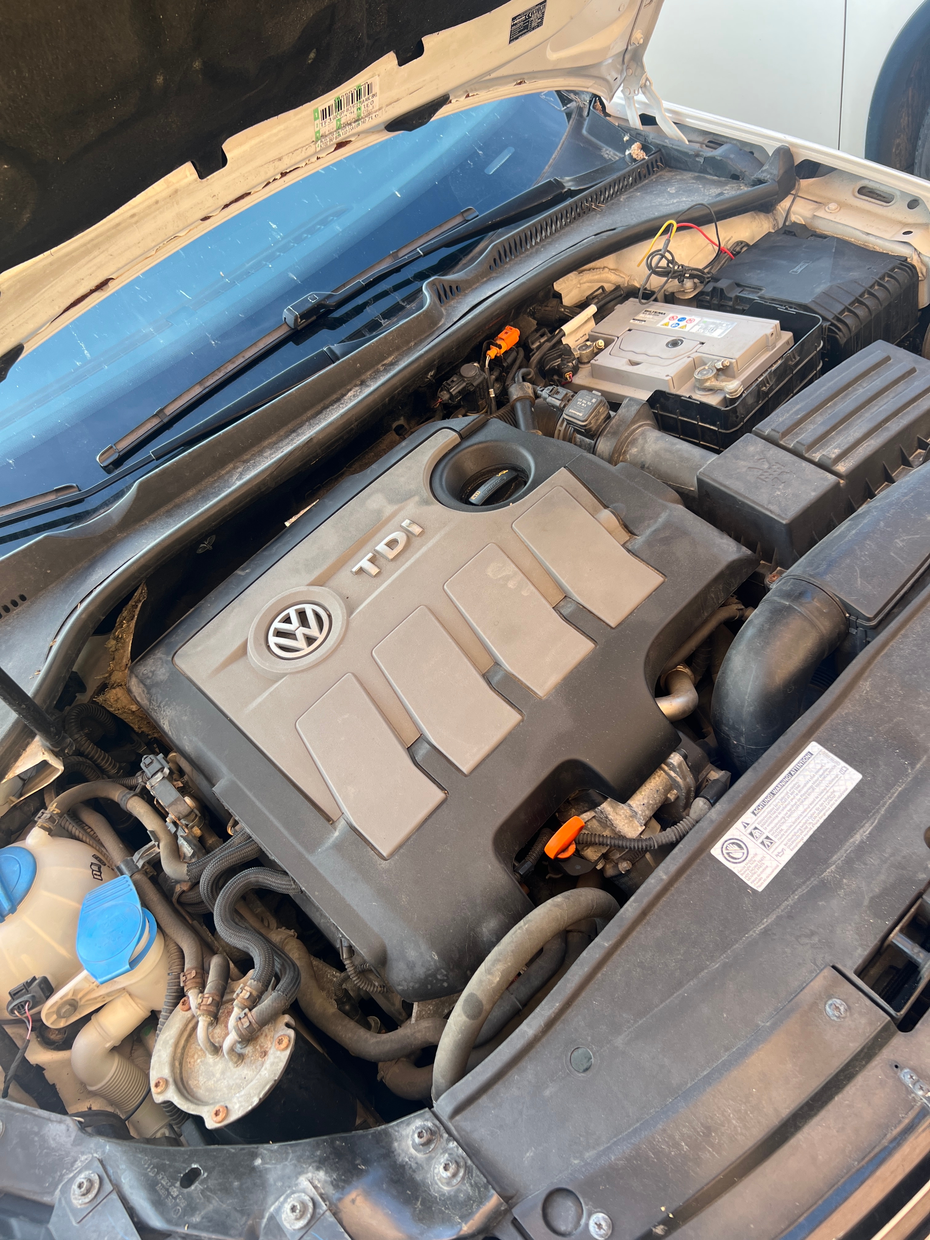 Volkswagen Golf 1.6 TDI 2010, bild 7/7