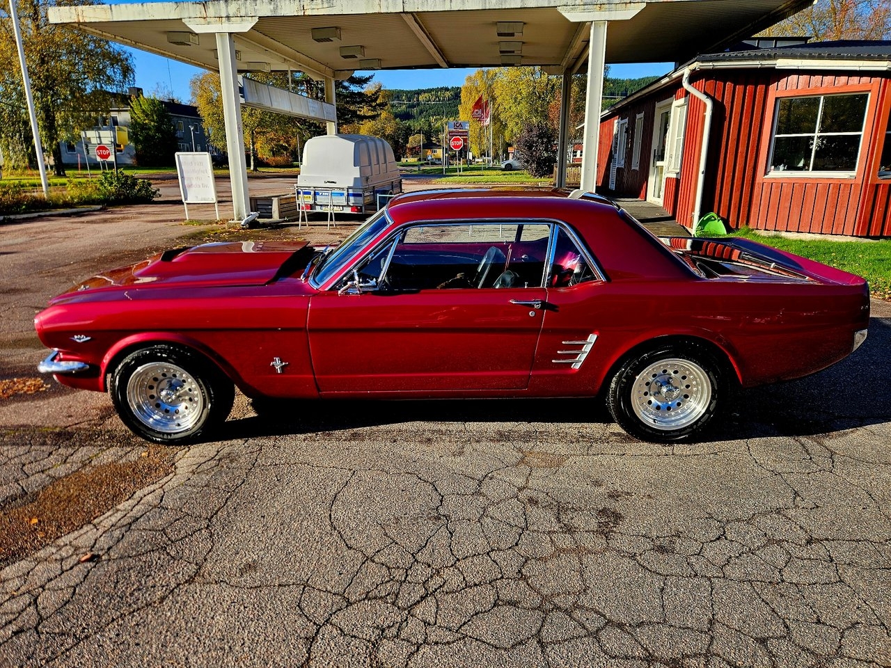 Ford Mustang Hardtop 4.7 V8 1966, bild 3/10