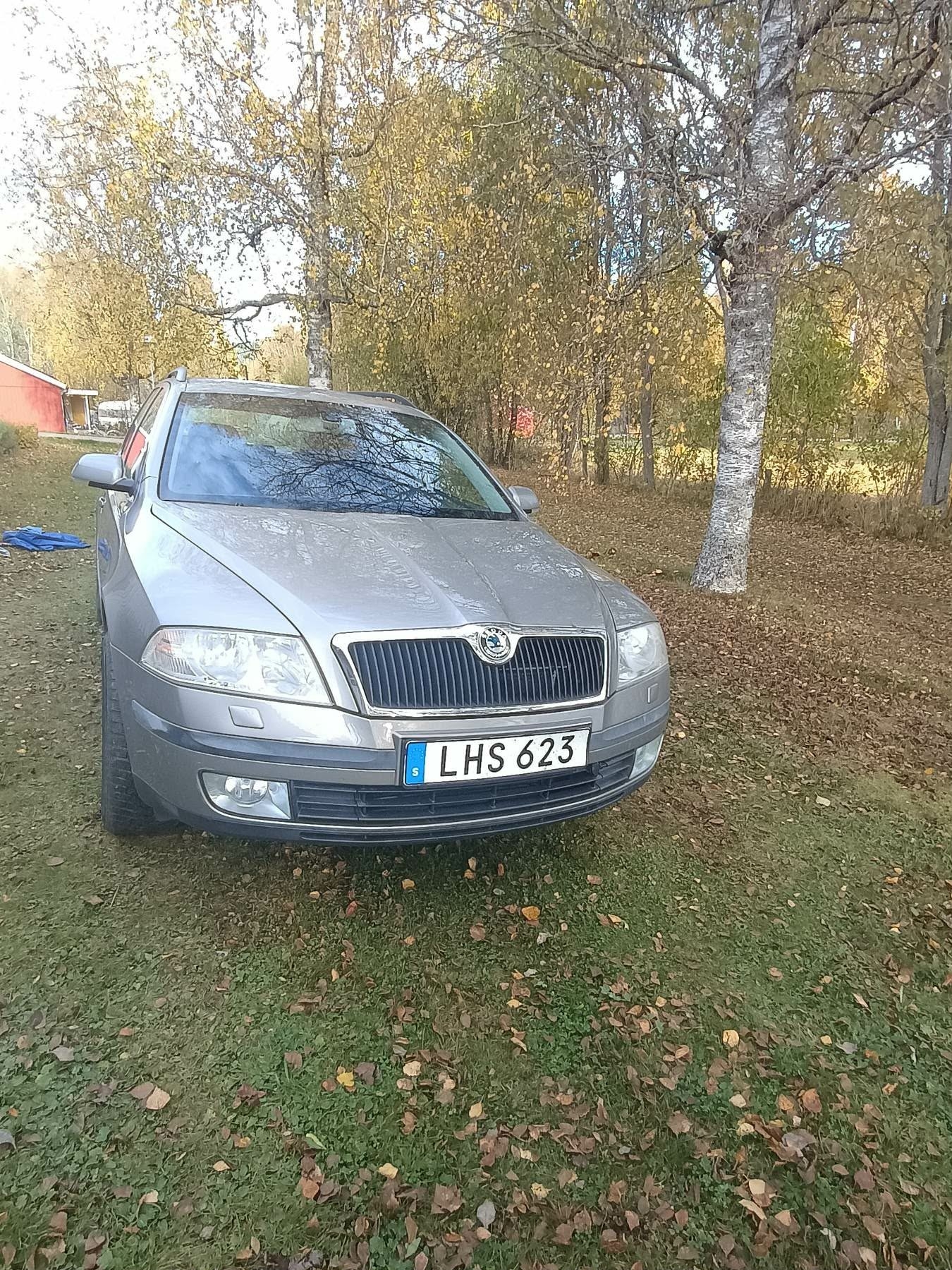 Skoda Octavia 2.0 TDI DPF 2008, bild 2/10