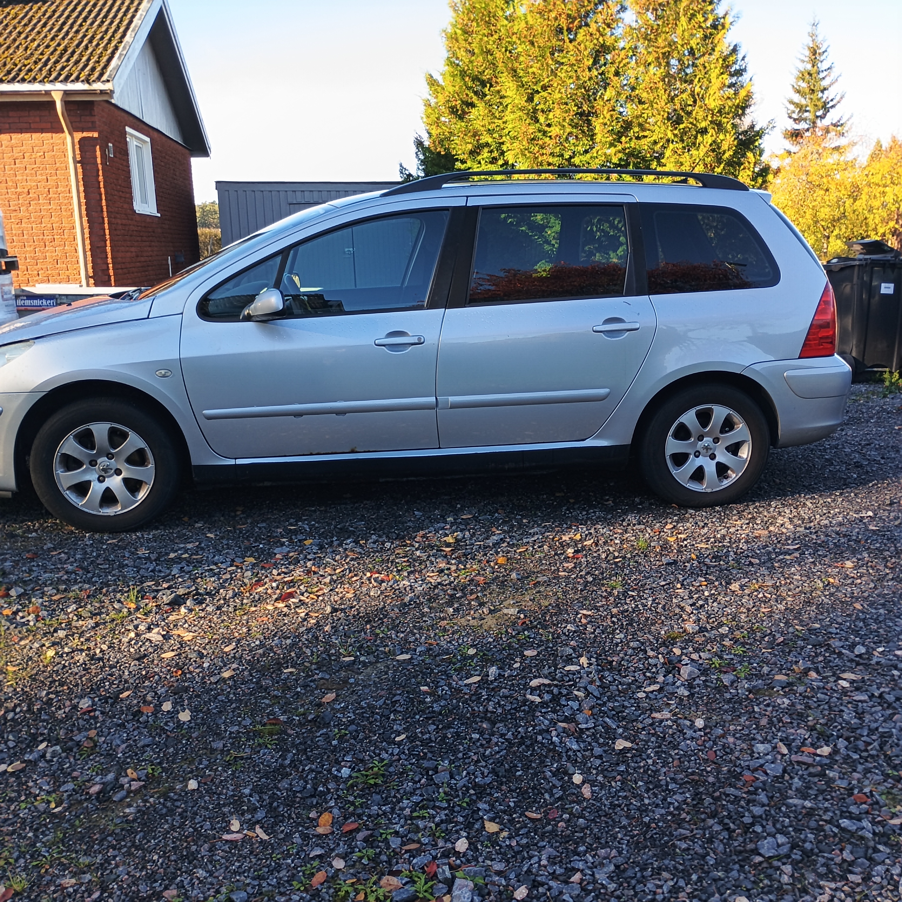 Peugeot 307 Break 1.6 Bioflex Manuell 2008, bild 3/8