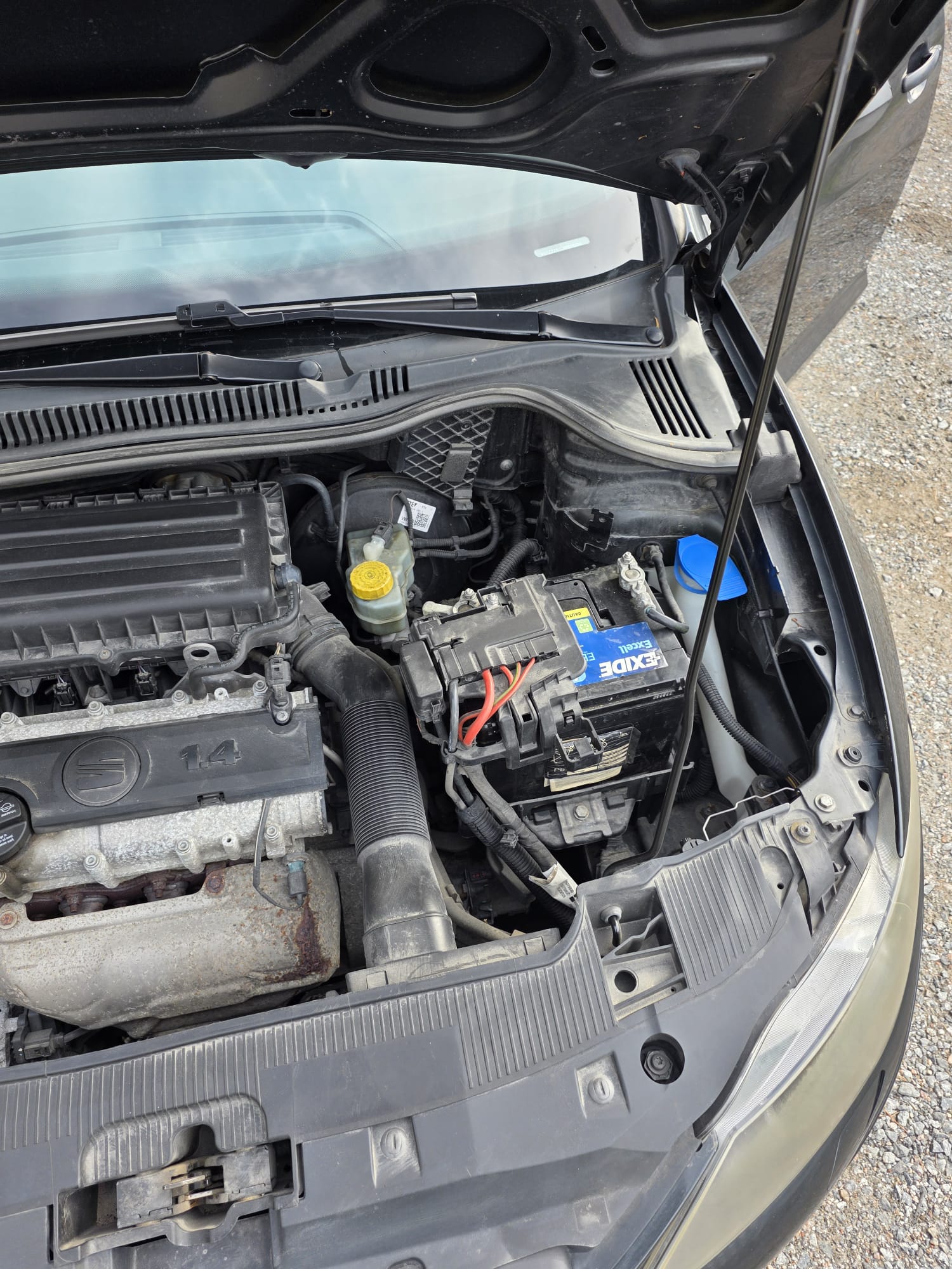 Seat Ibiza 1.4 16V 2010, kuva 5/10