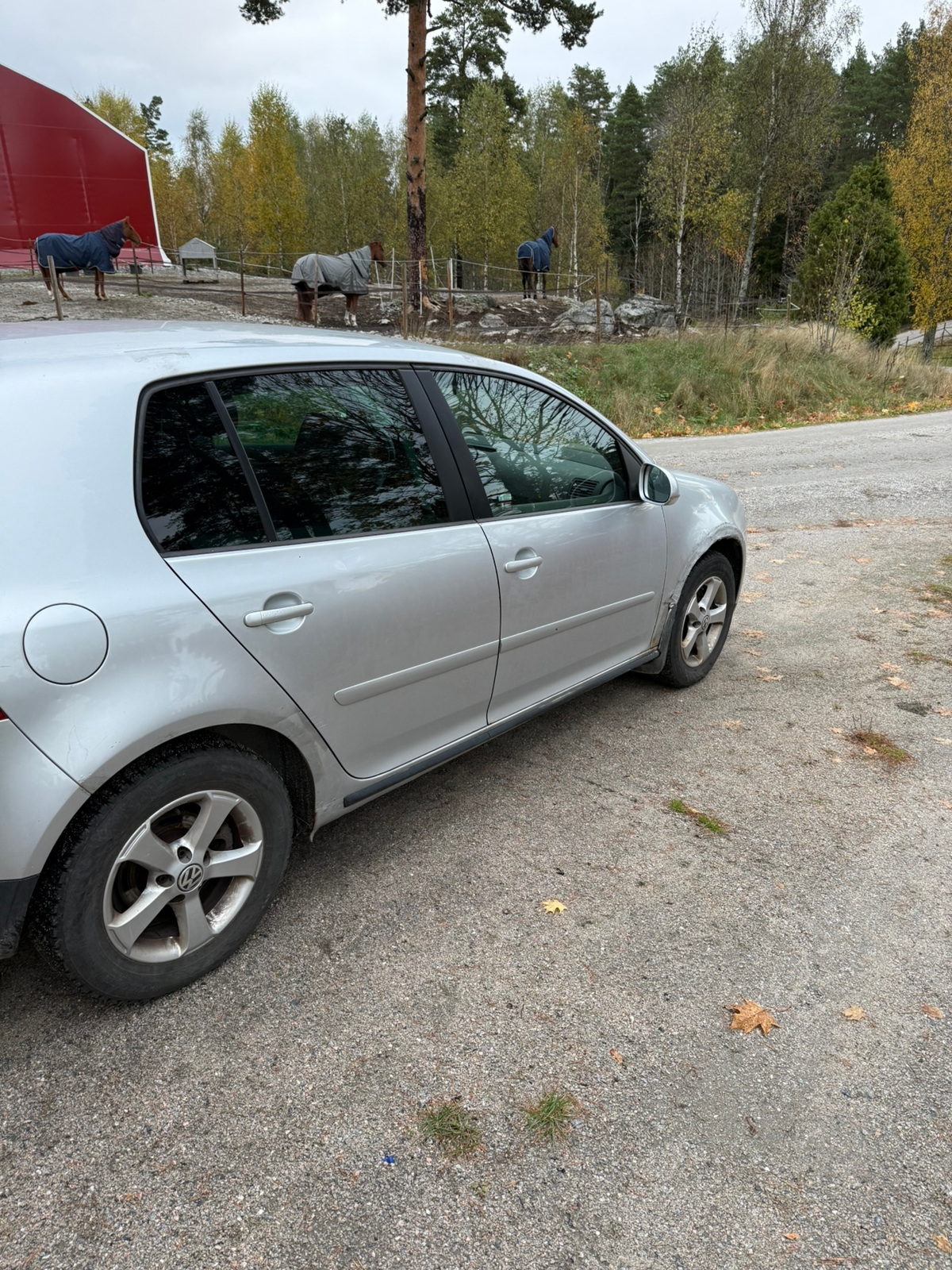 Volkswagen Golf 1.6 2008, photo 3/9