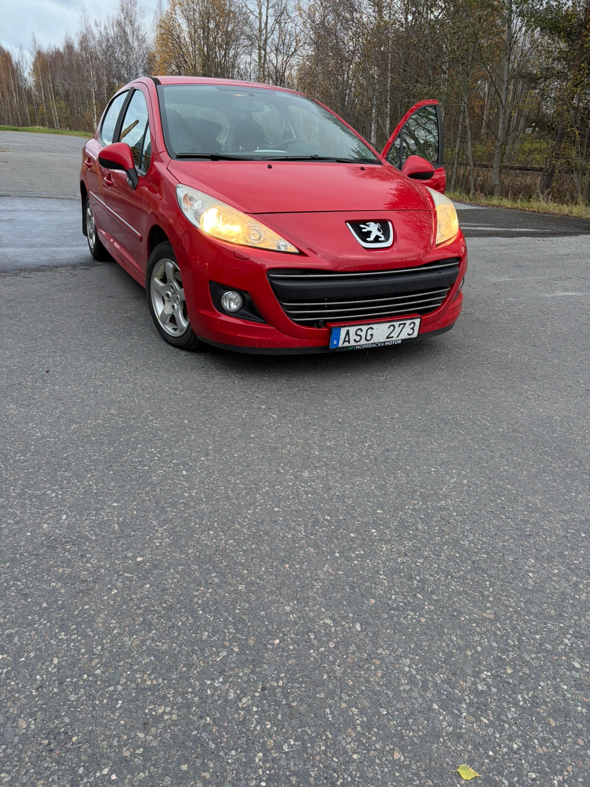 Peugeot 207