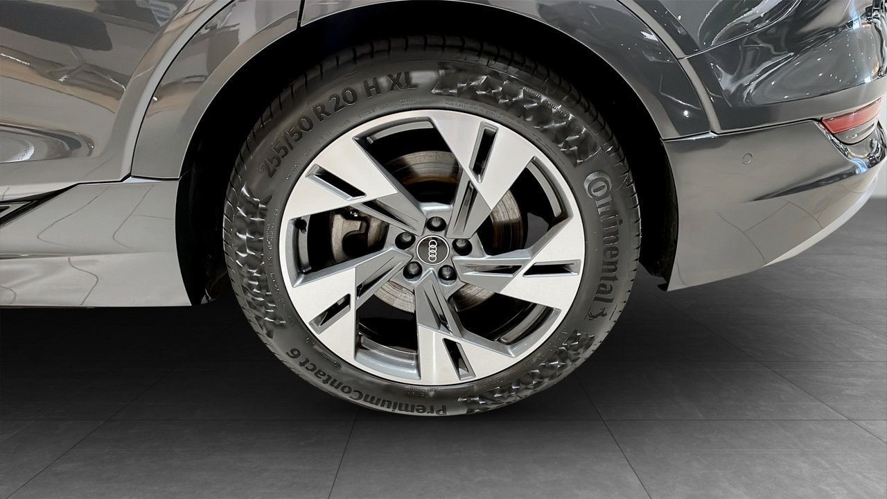 Audi e-tron 55 Proline 2022, bild 6/10