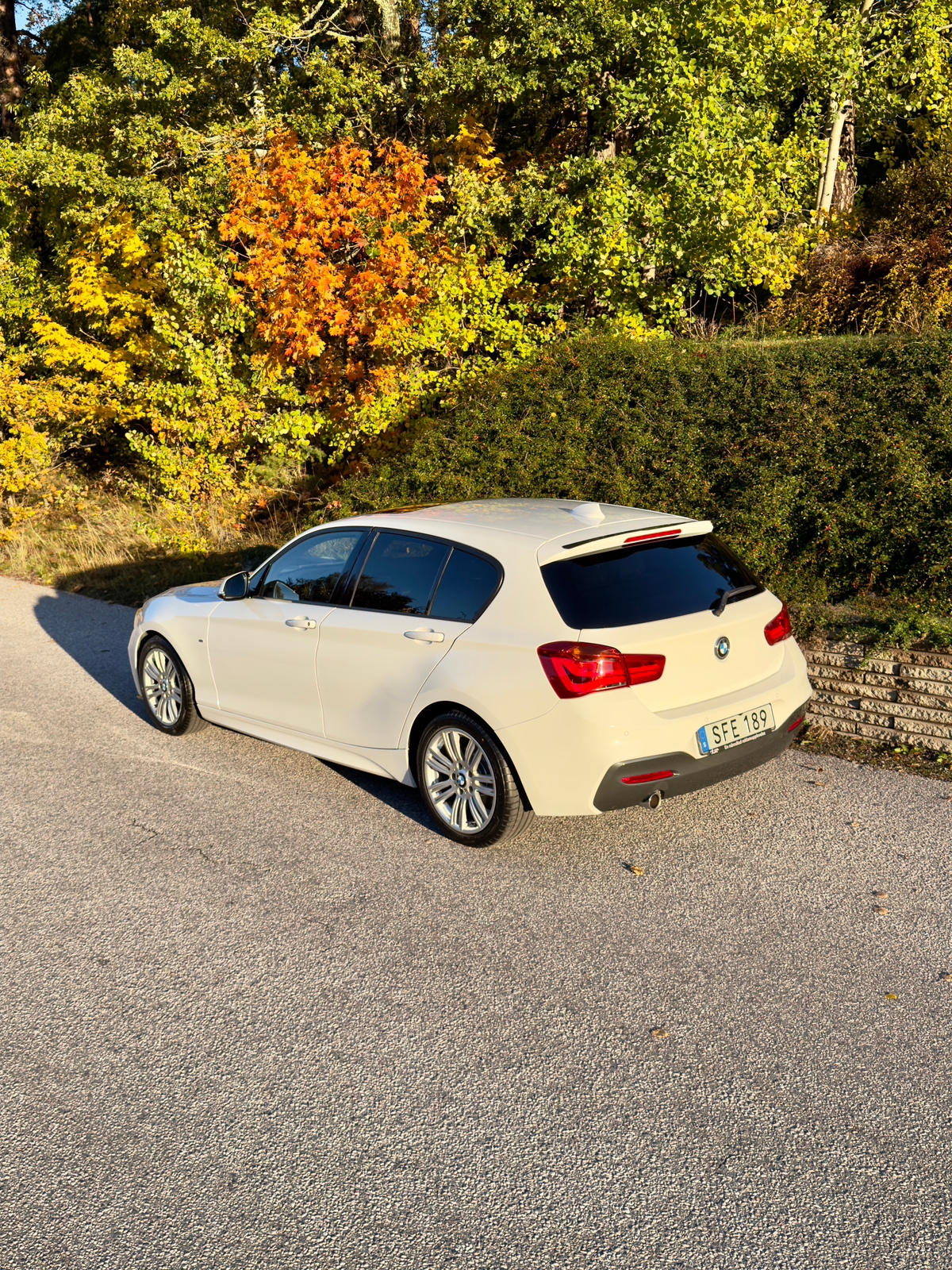 BMW 116d M Sport 2016, bild 2/10