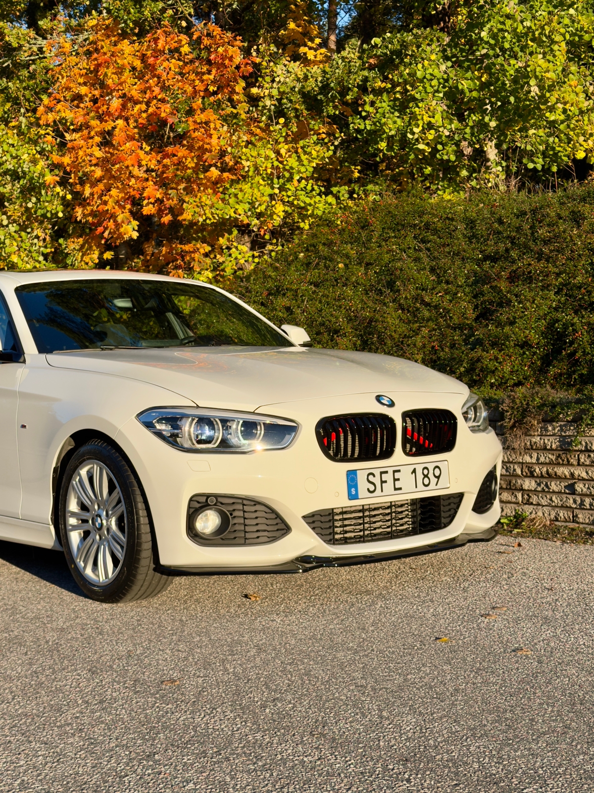 BMW 116d M Sport 2016, bild 3/10