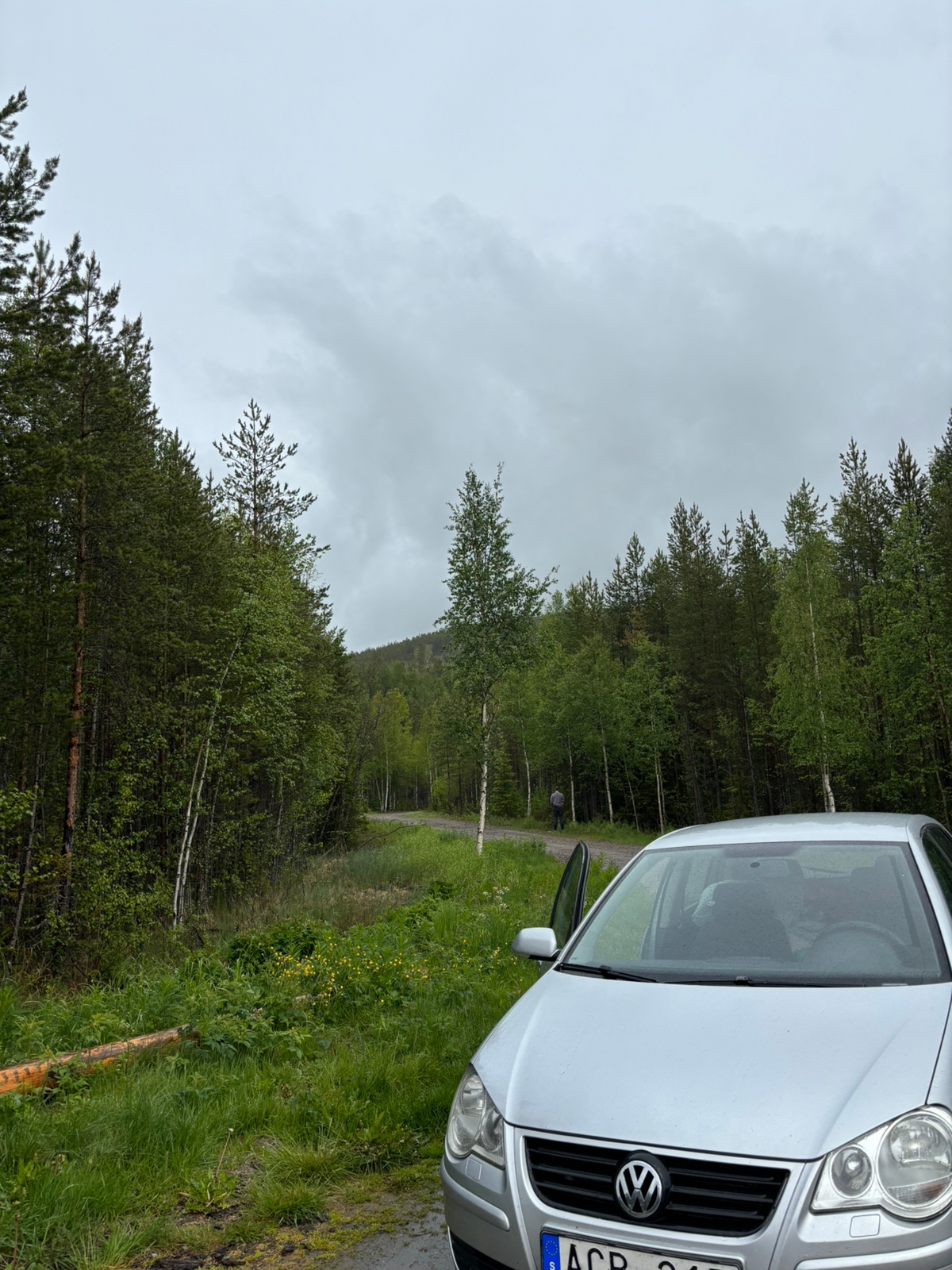Volkswagen Polo 2007, bild 3/4