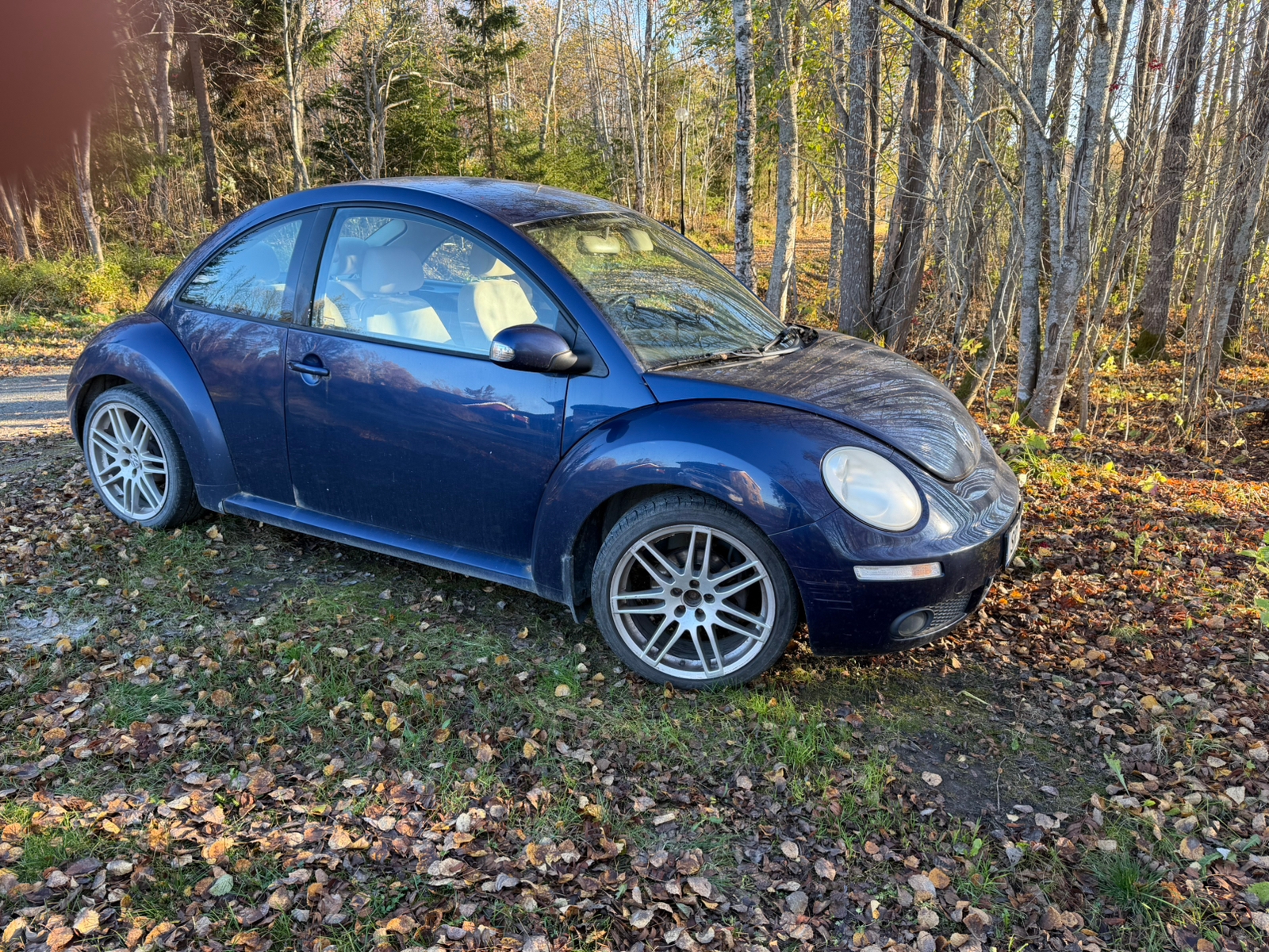 Volkswagen New Beetle 1.6 Manuell 2006, bild 2/3