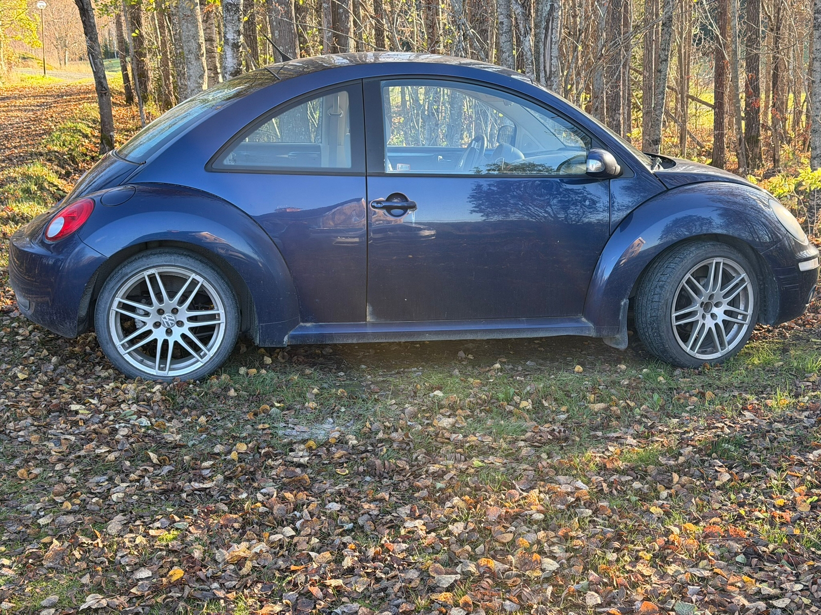 Volkswagen New Beetle 1.6 Manuell 2006, bild 3/3