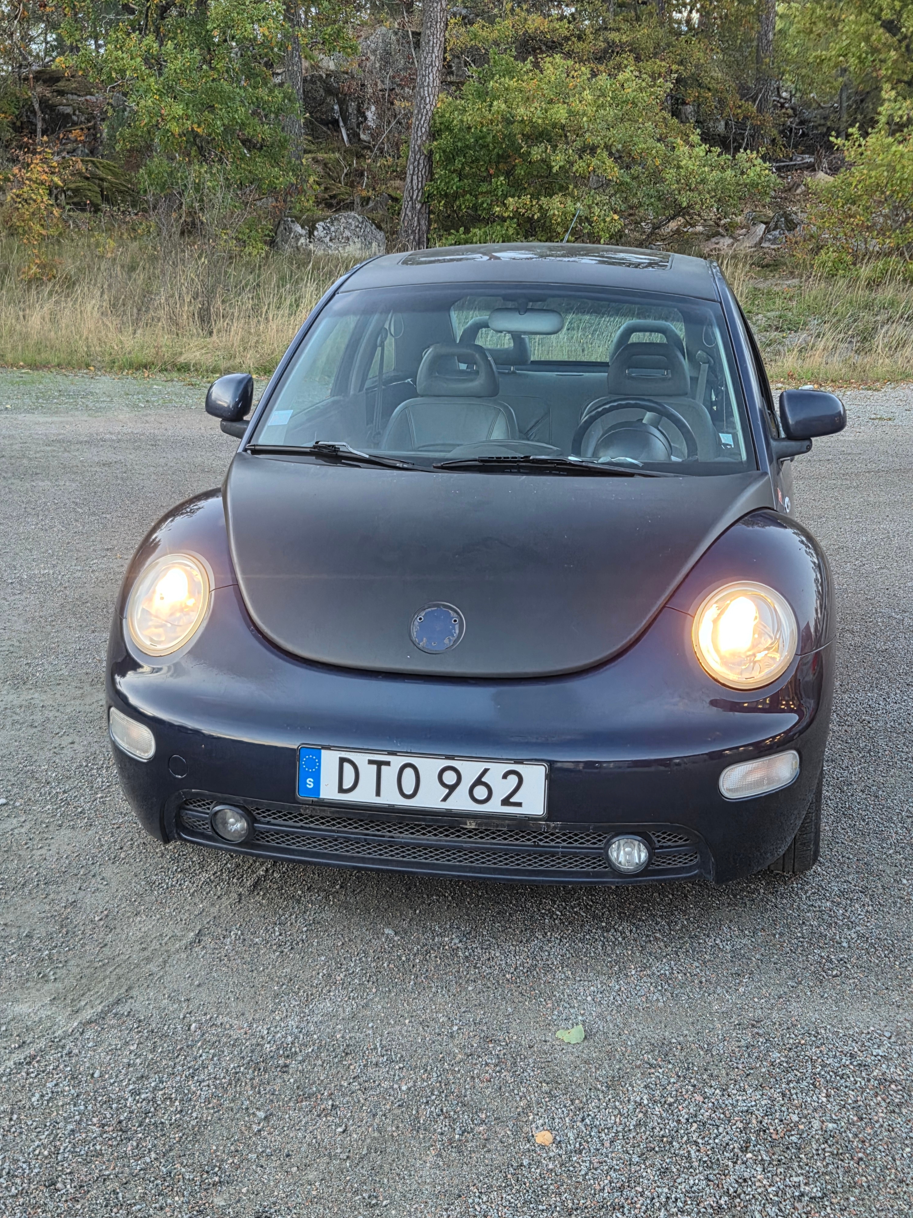 Volkswagen New Beetle 2.0 Manuell 1999, bild 2/7