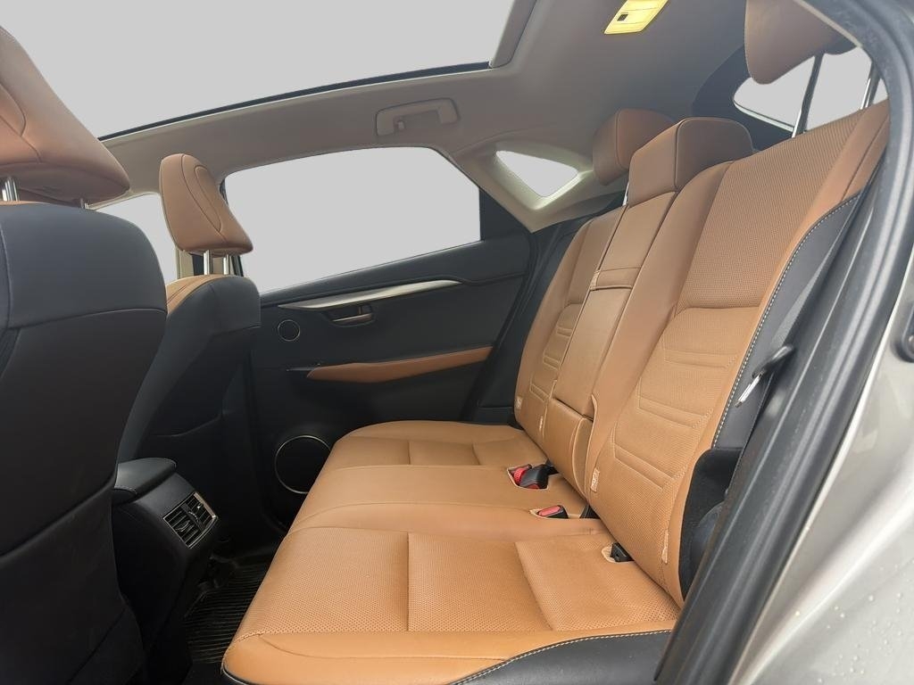 Lexus NX 300h AWD 2.5 AWD Executive 2019, bild 7/10
