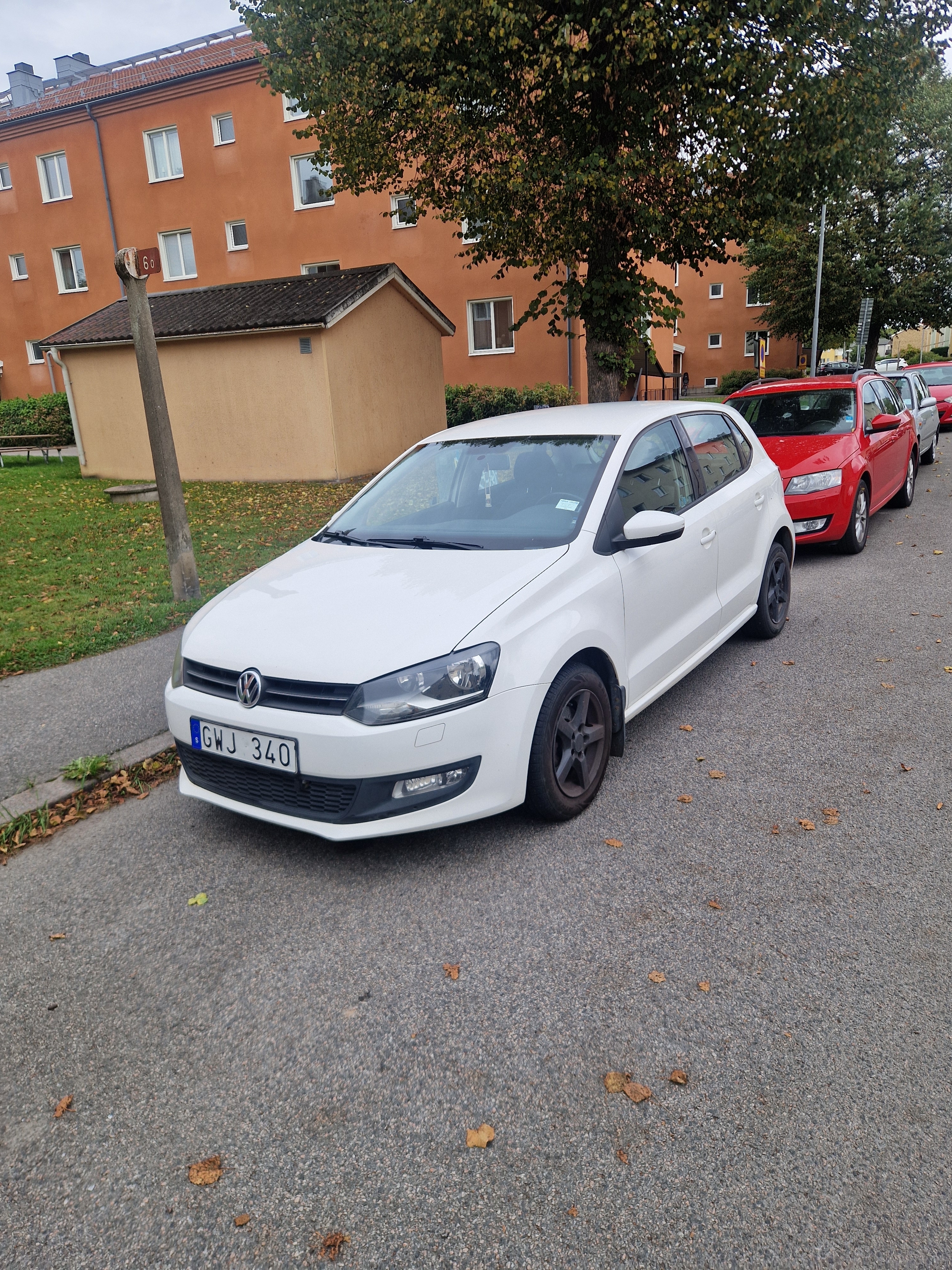 Volkswagen Polo 2011, bild 2/10