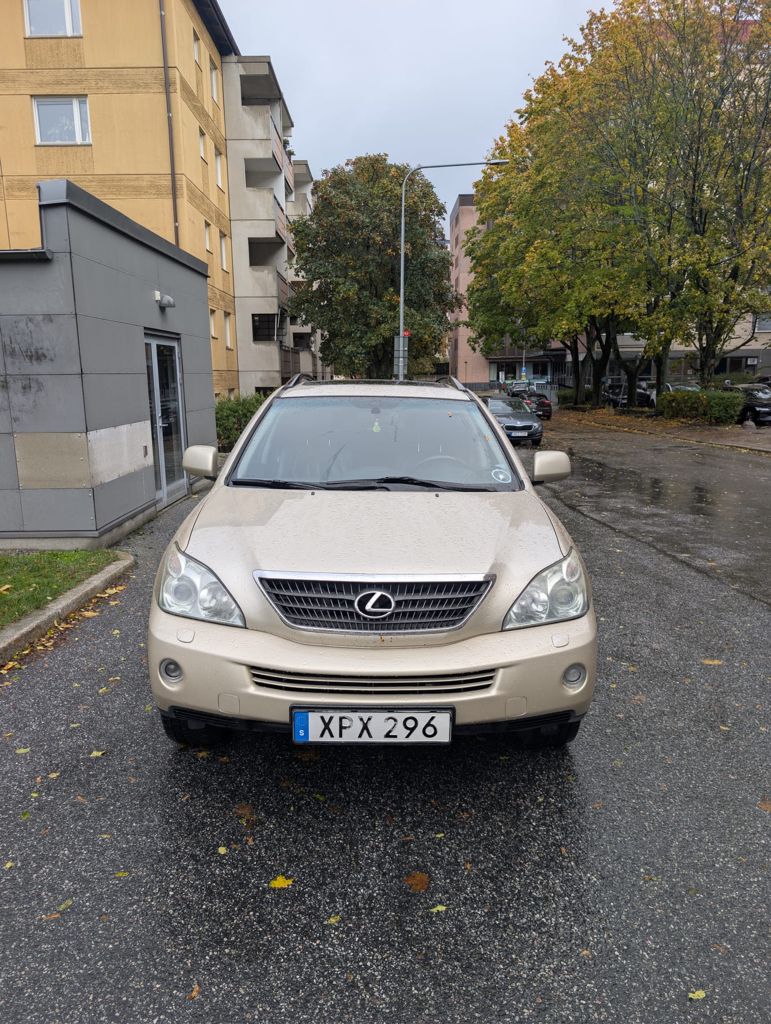 Lexus RX 400h AWD 3.3 V6 AWD CVT 2006, bild 2/10
