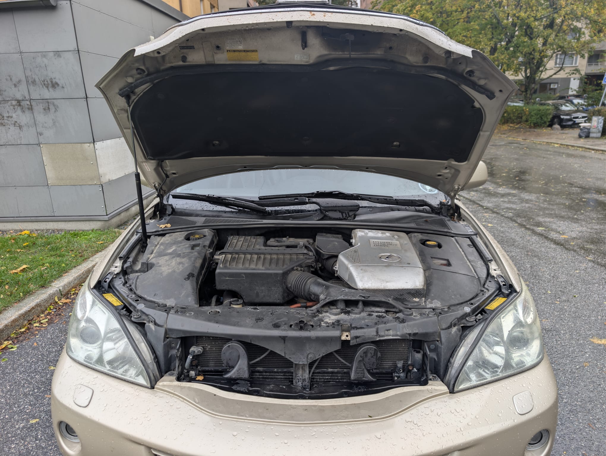 Lexus RX 400h AWD 3.3 V6 AWD CVT 2006, bild 5/10