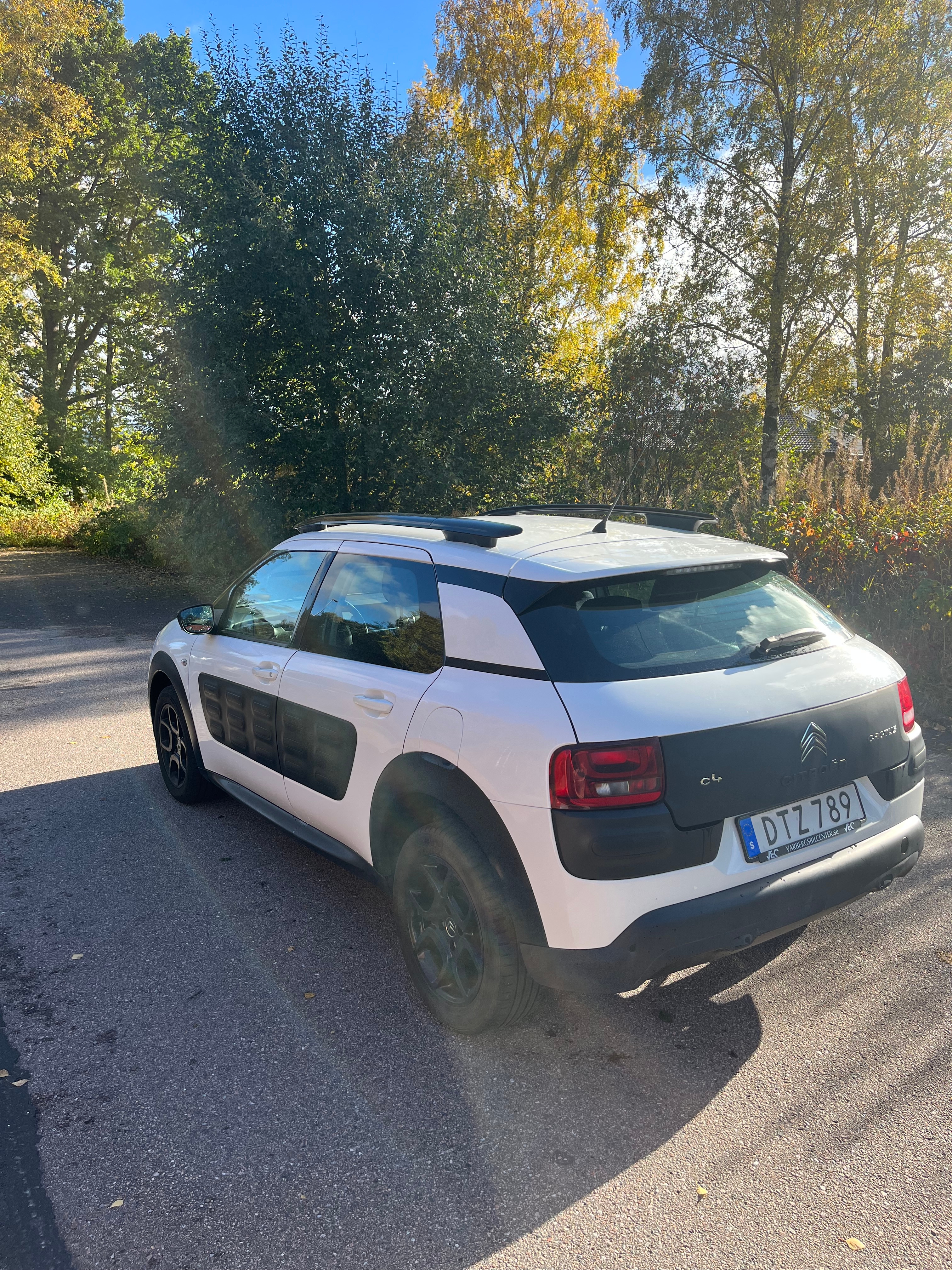 Citroen C4 Cactus PureTech 82 EGS 2016, bild 2/10