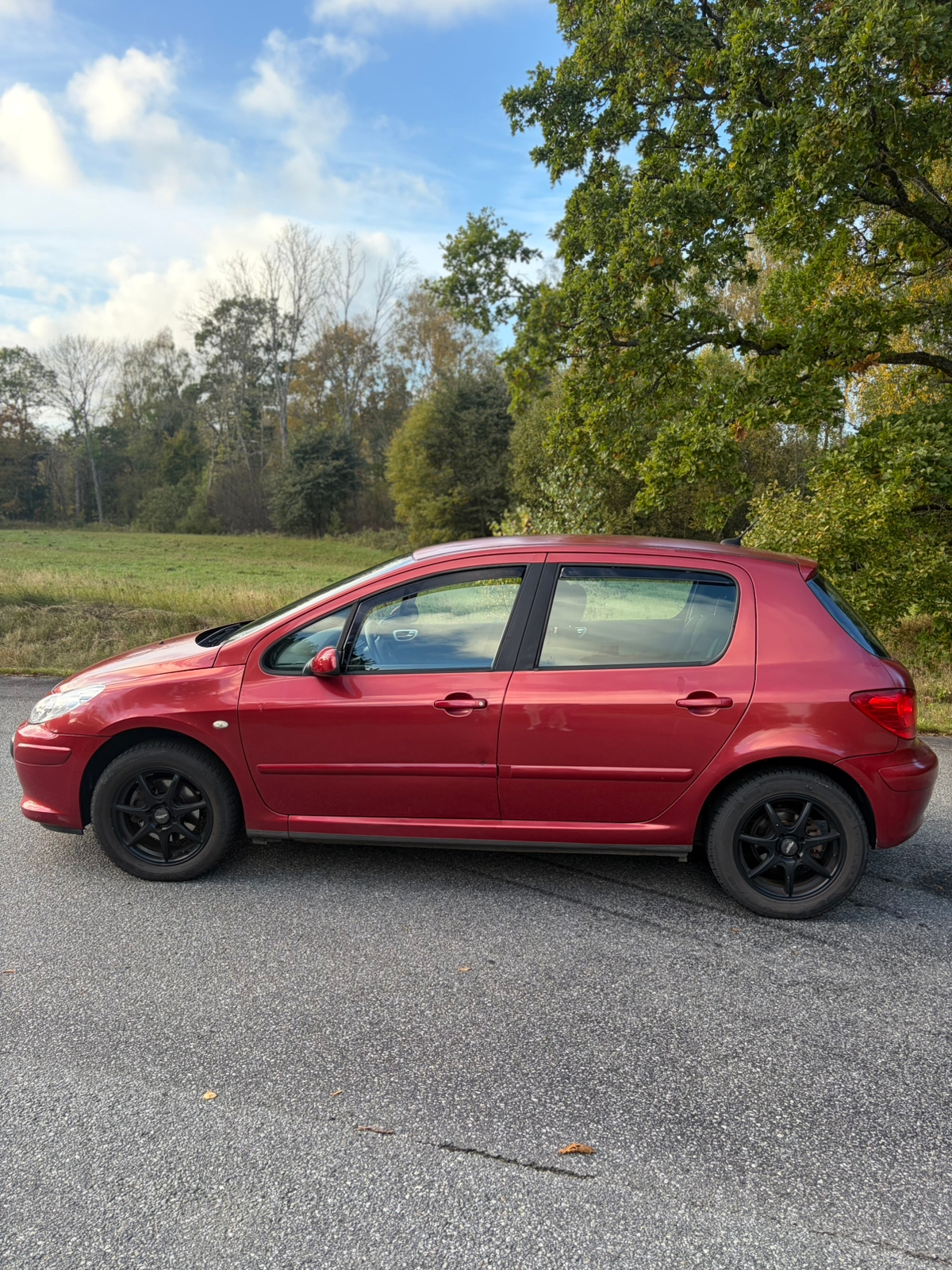 Peugeot 307 140 2006, photo 5/10