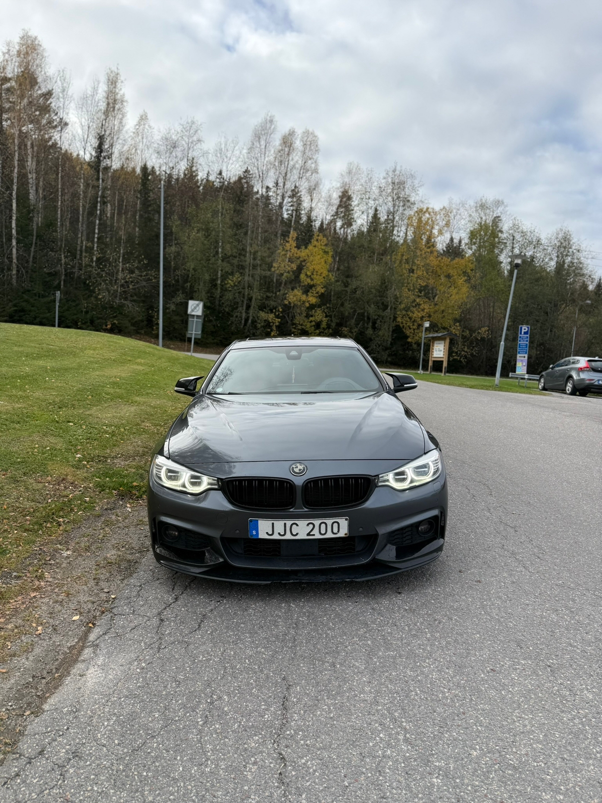 BMW 420 d Gran Coupé Steptronic 2016, bild 2/9