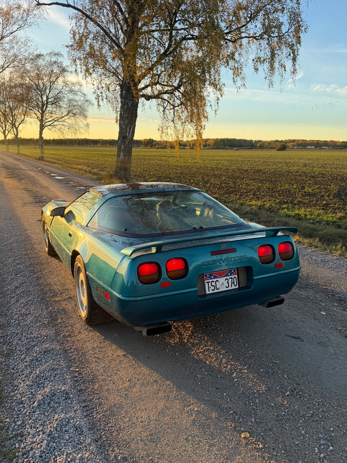 Chevrolet Corvette 5.7 V8 SFI Automatisk 1992, bild 4/4
