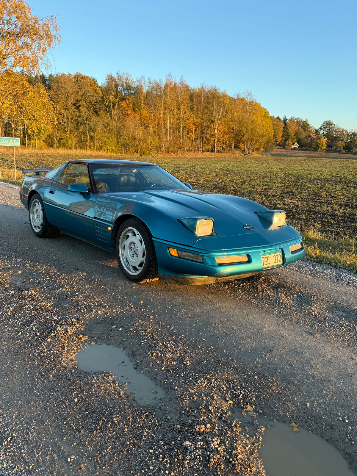 Chevrolet Corvette 5.7 V8 SFI Automatisk 1992, bild 2/4