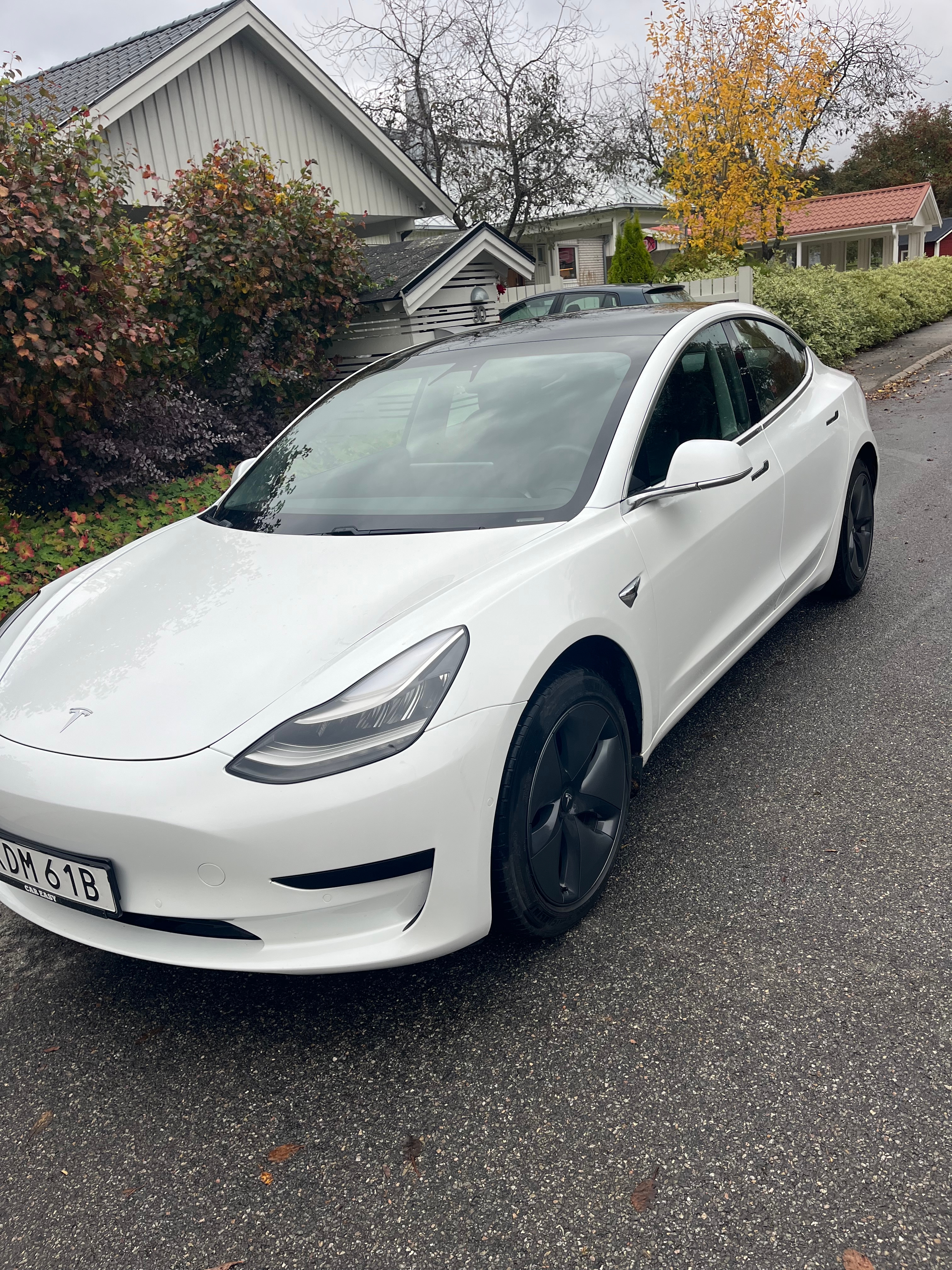 Tesla Model 3 Standard Range Plus 2020, bild 4/6