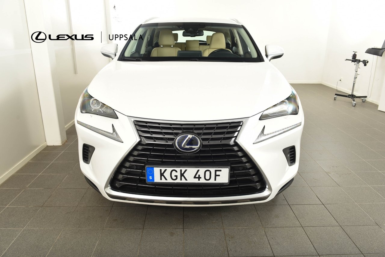 Lexus NX 300h Business 2019, bild 5/10