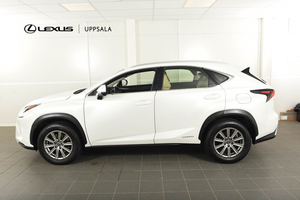 Lexus NX 300h Business 2019, bild 3/10