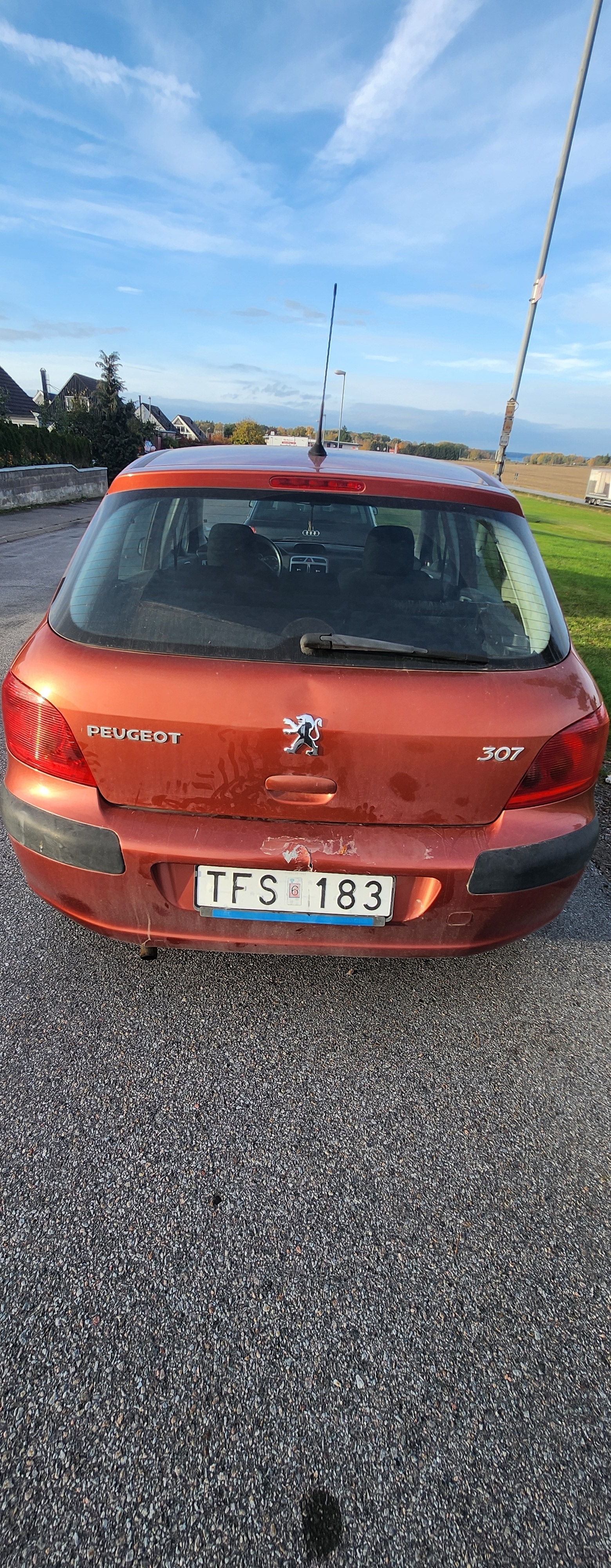 Peugeot 307 135 2003, kuva 6/10