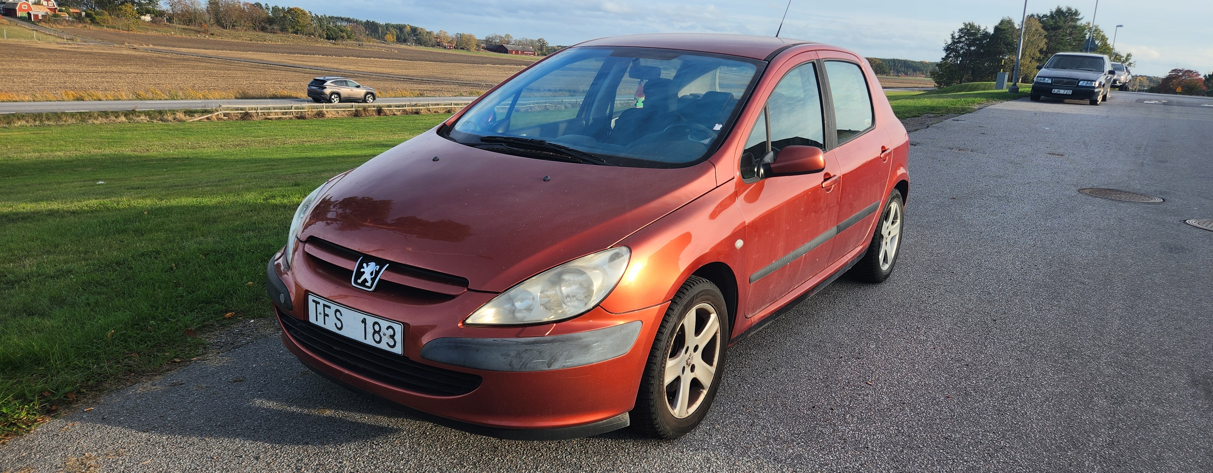 Peugeot 307