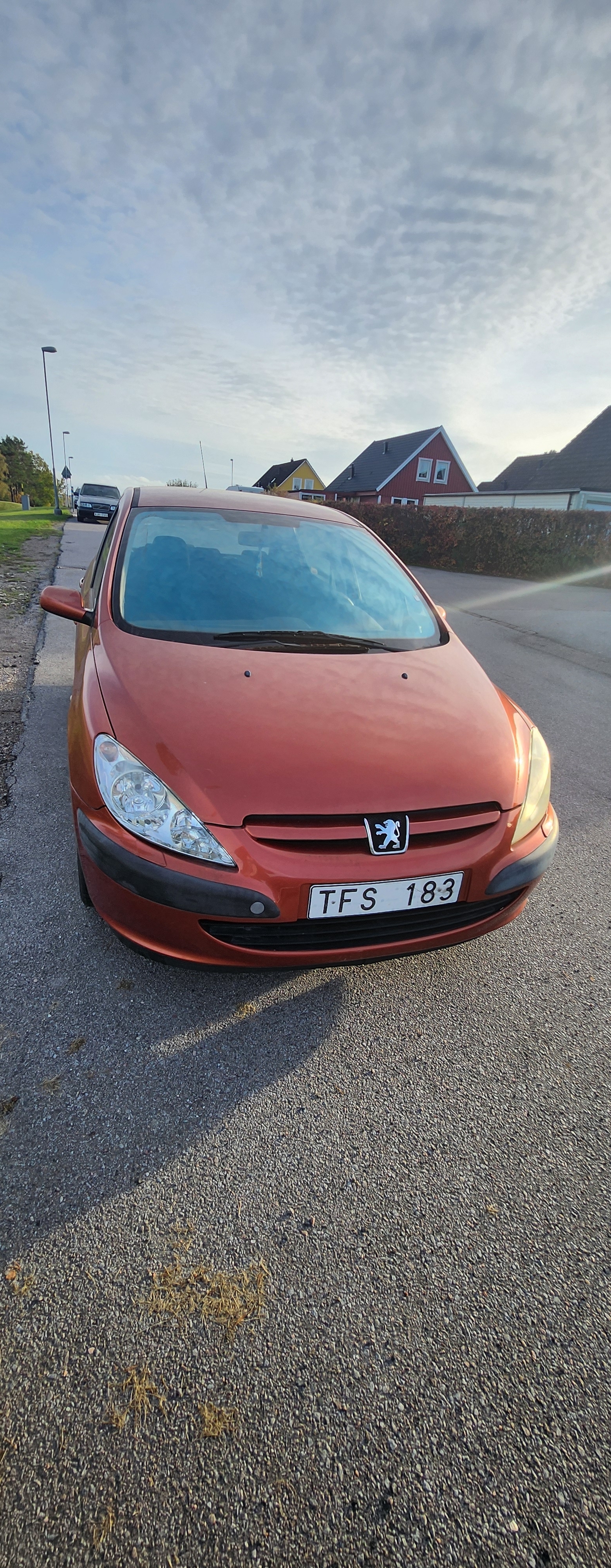 Peugeot 307 135 2003, kuva 2/10