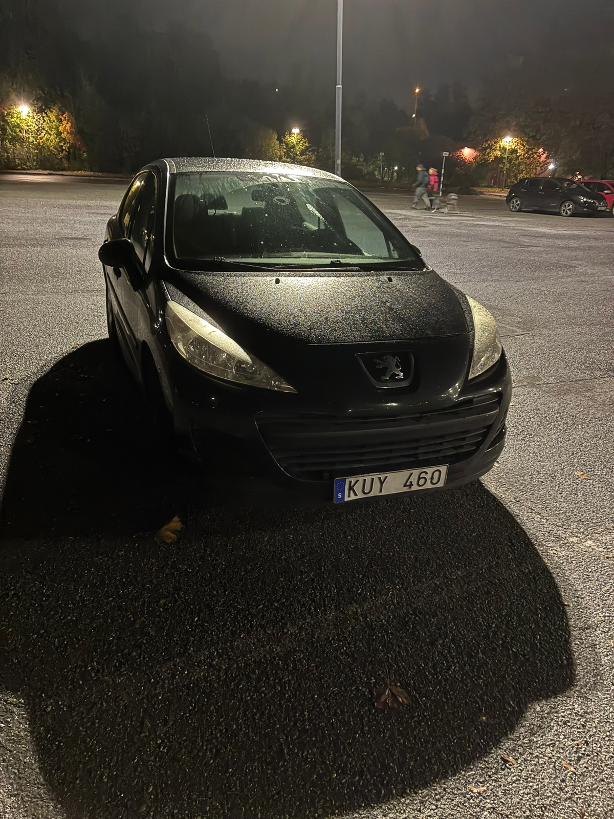 Peugeot 207