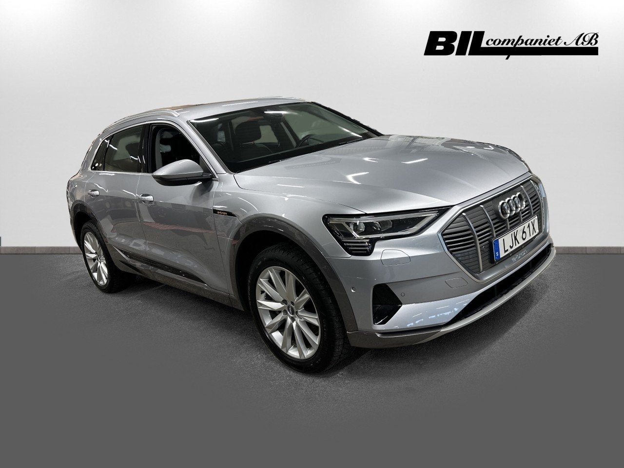 Audi e-tron 55 Proline 2021, bild 3/10