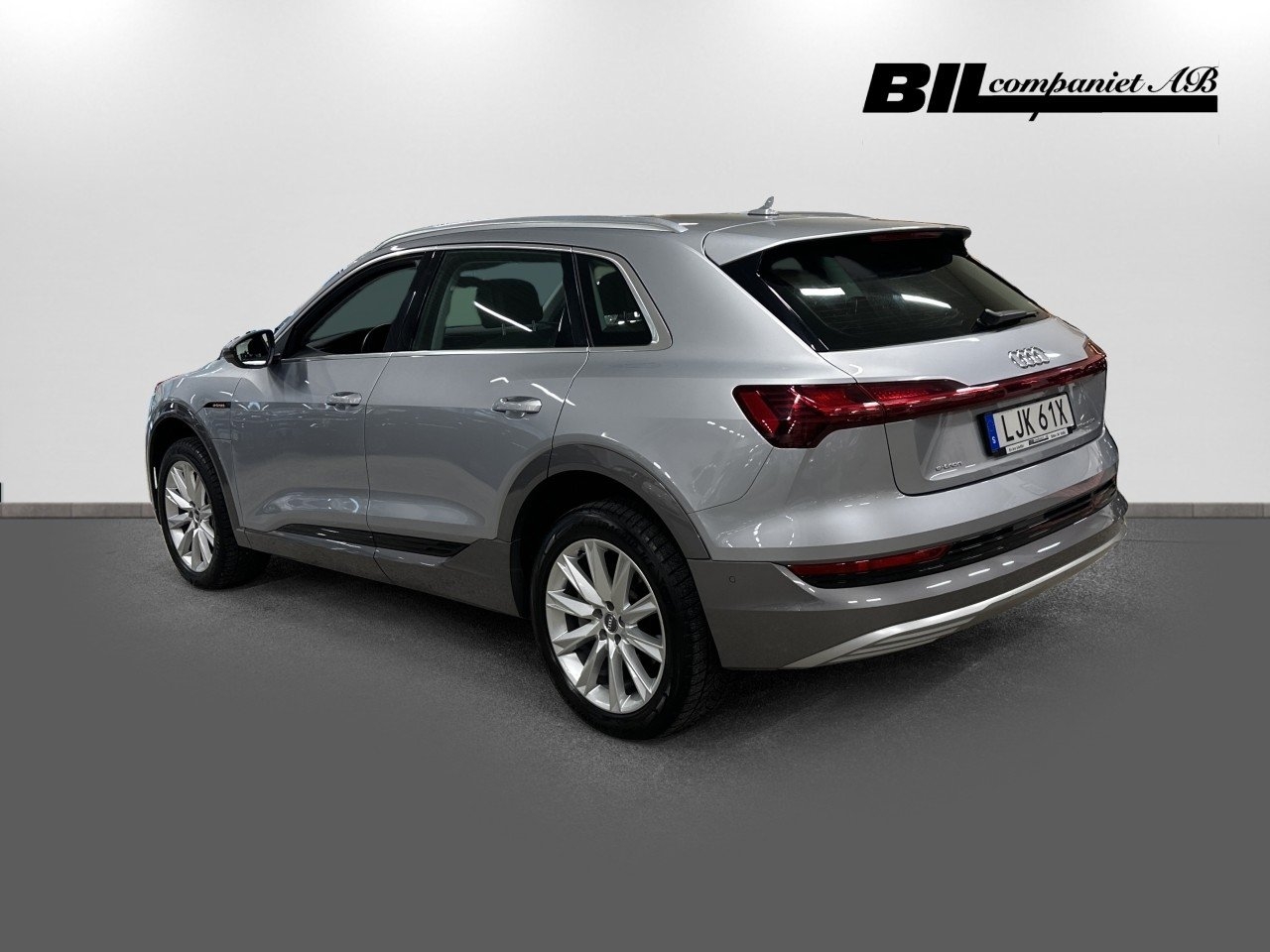Audi e-tron 55 Proline 2021, bild 6/10