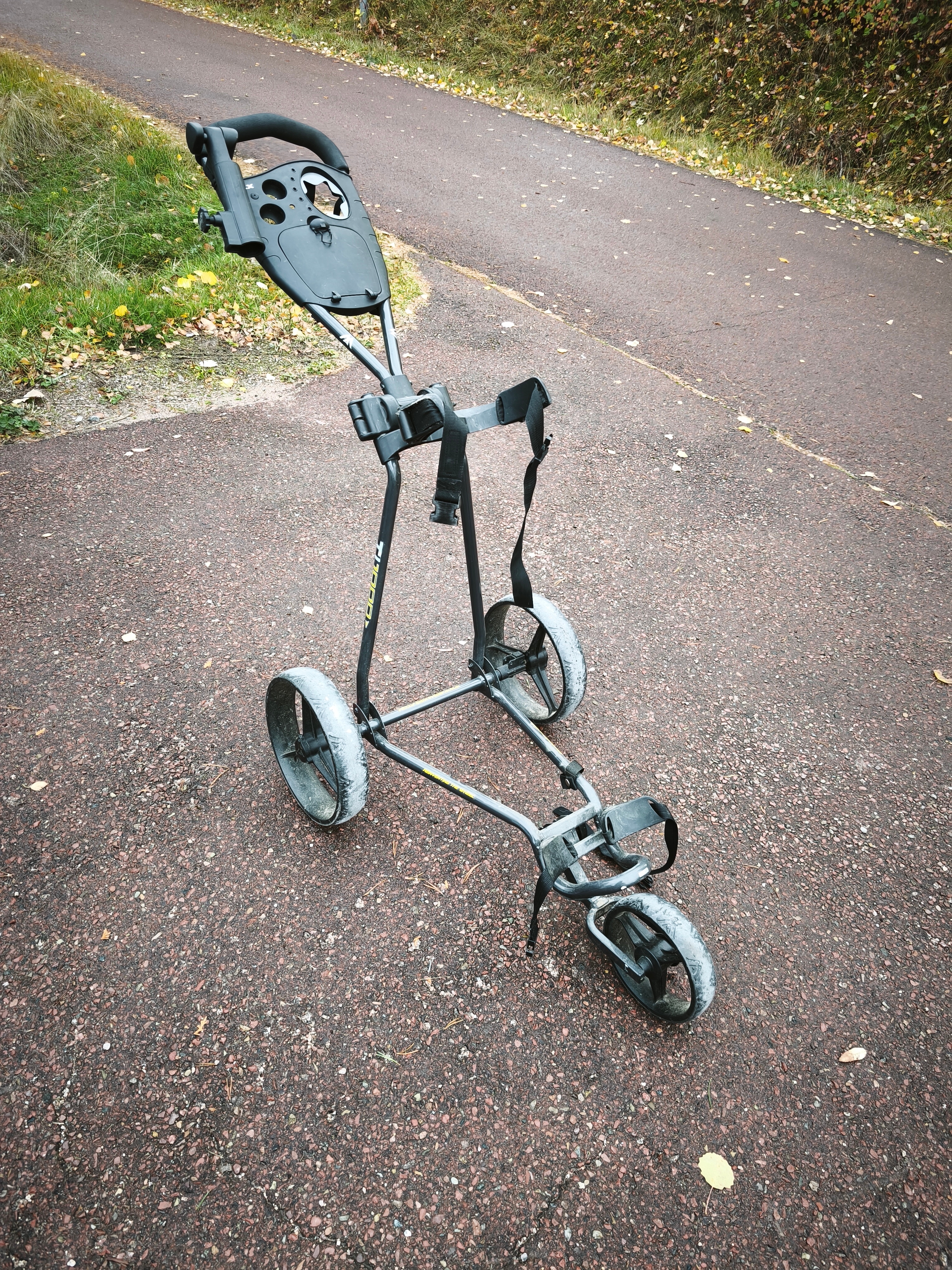 big max golfvagn.