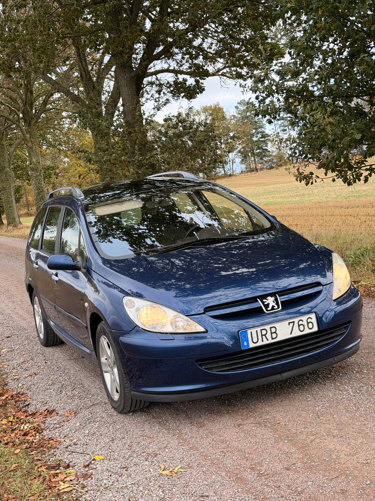 Peugeot 307 135 2004, bild 2/6