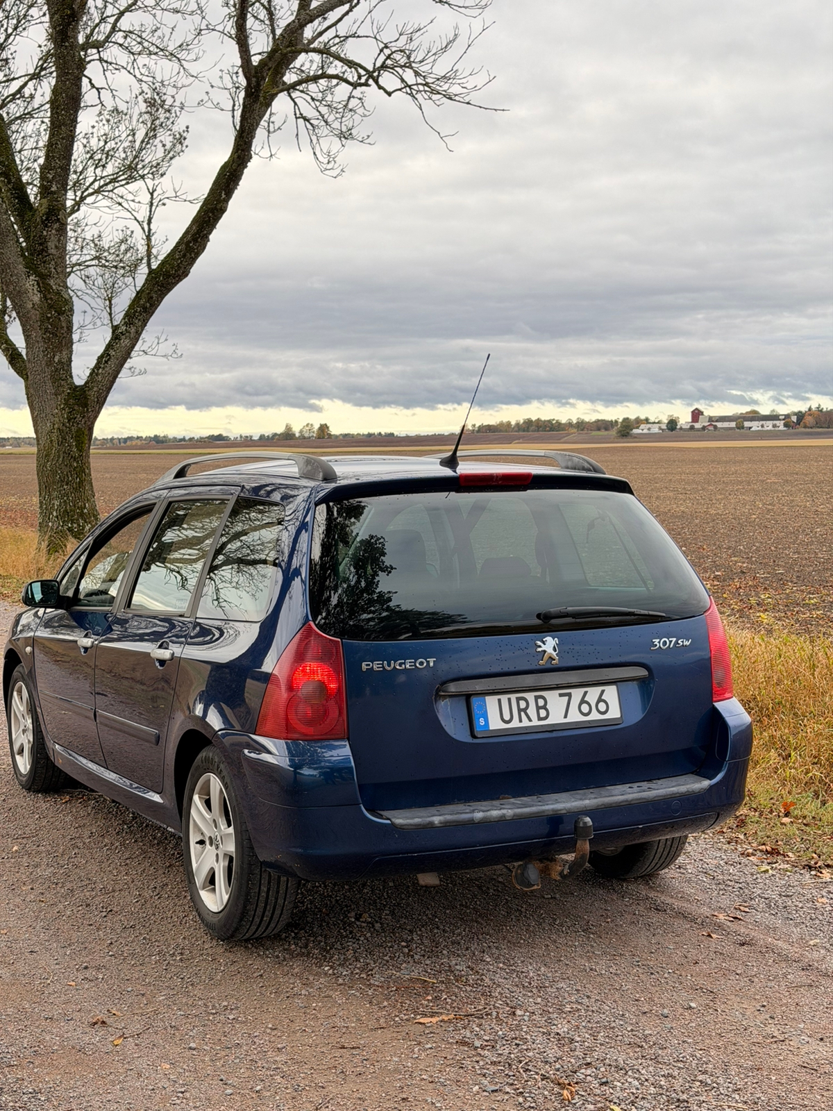 Peugeot 307 135 2004, bild 3/6