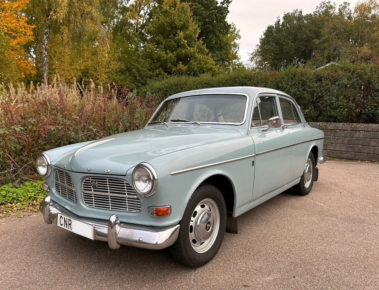 Volvo Amazon