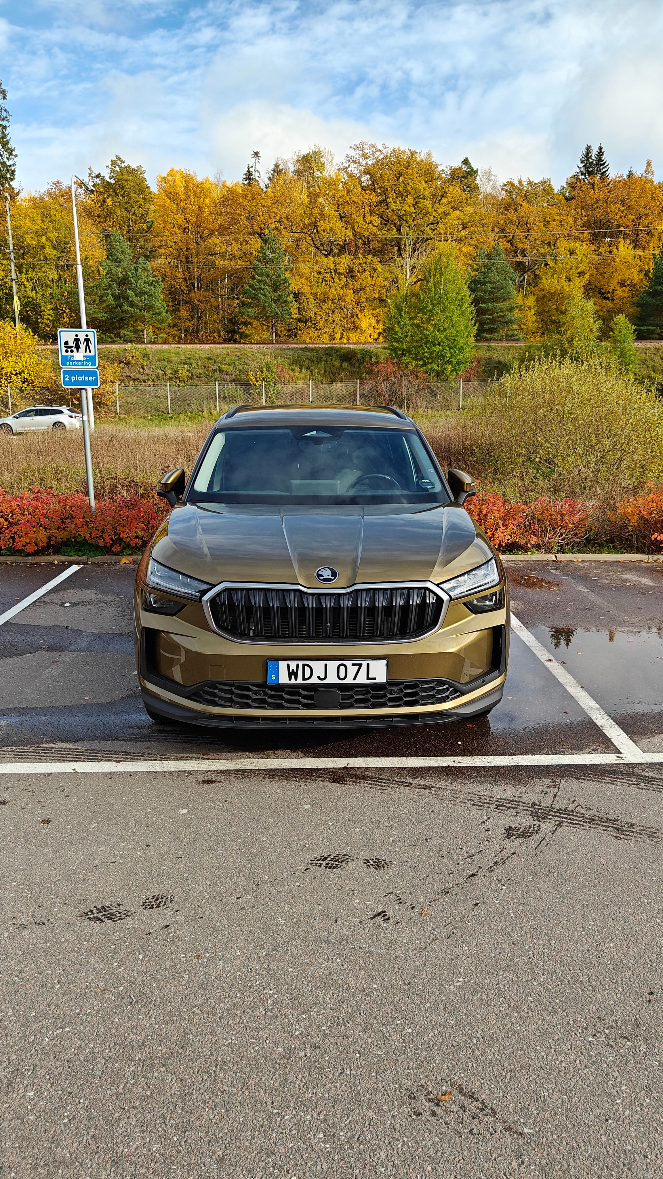 Skoda Kodiaq 2.0 TDI 2025, bild 3/10