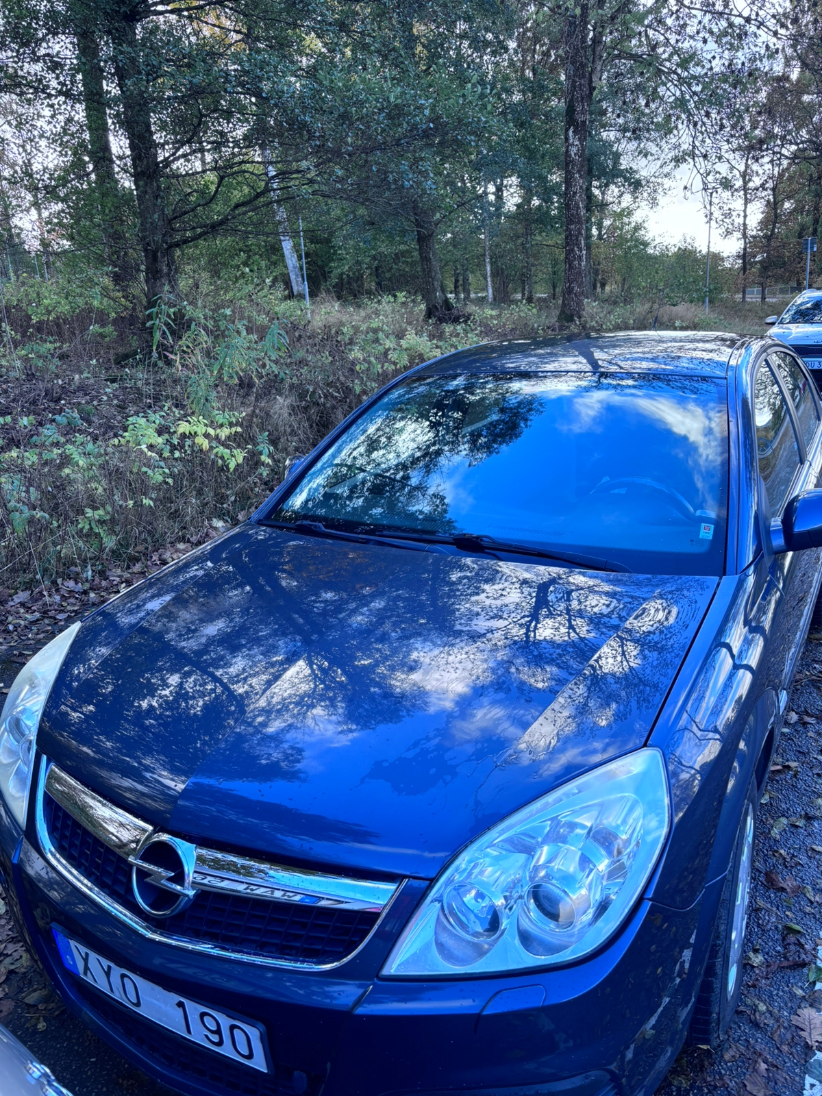 Opel Vectra 2.2 direct GTS 2006, photo 4/10