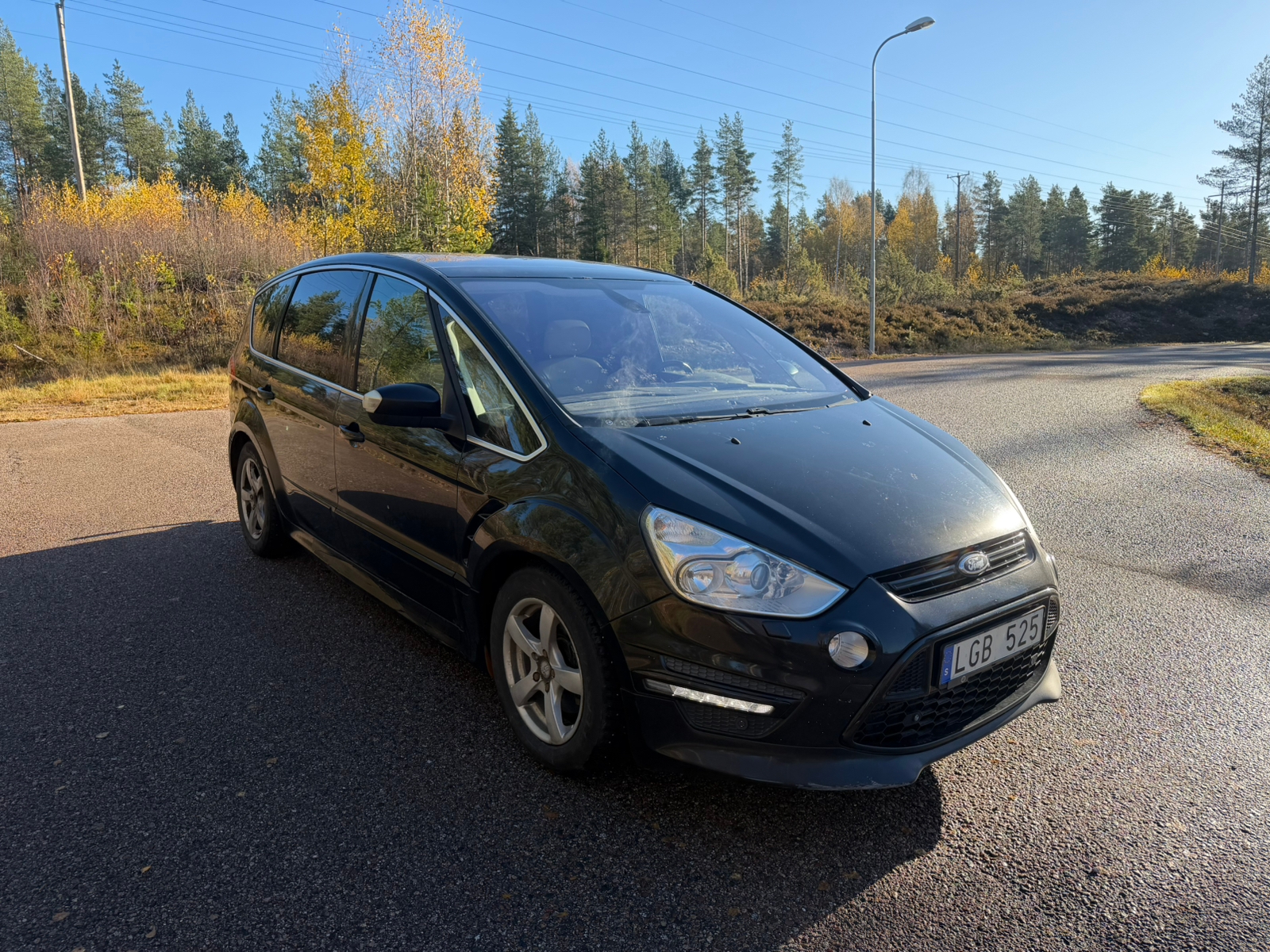 Ford S-MAX 2.2 TDCi 2011, bild 2/10