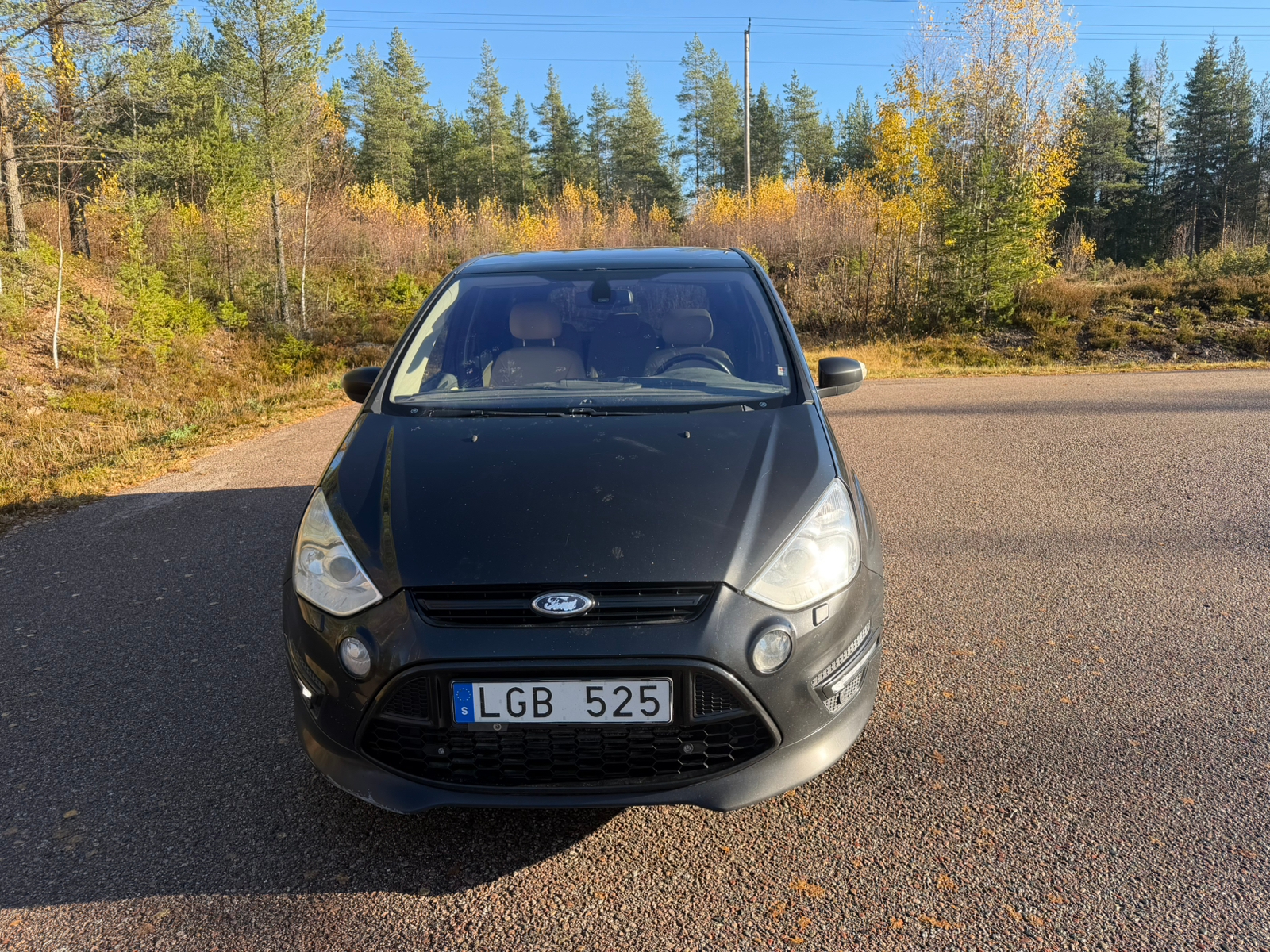 Ford S-MAX 2.2 TDCi 2011, bild 3/10