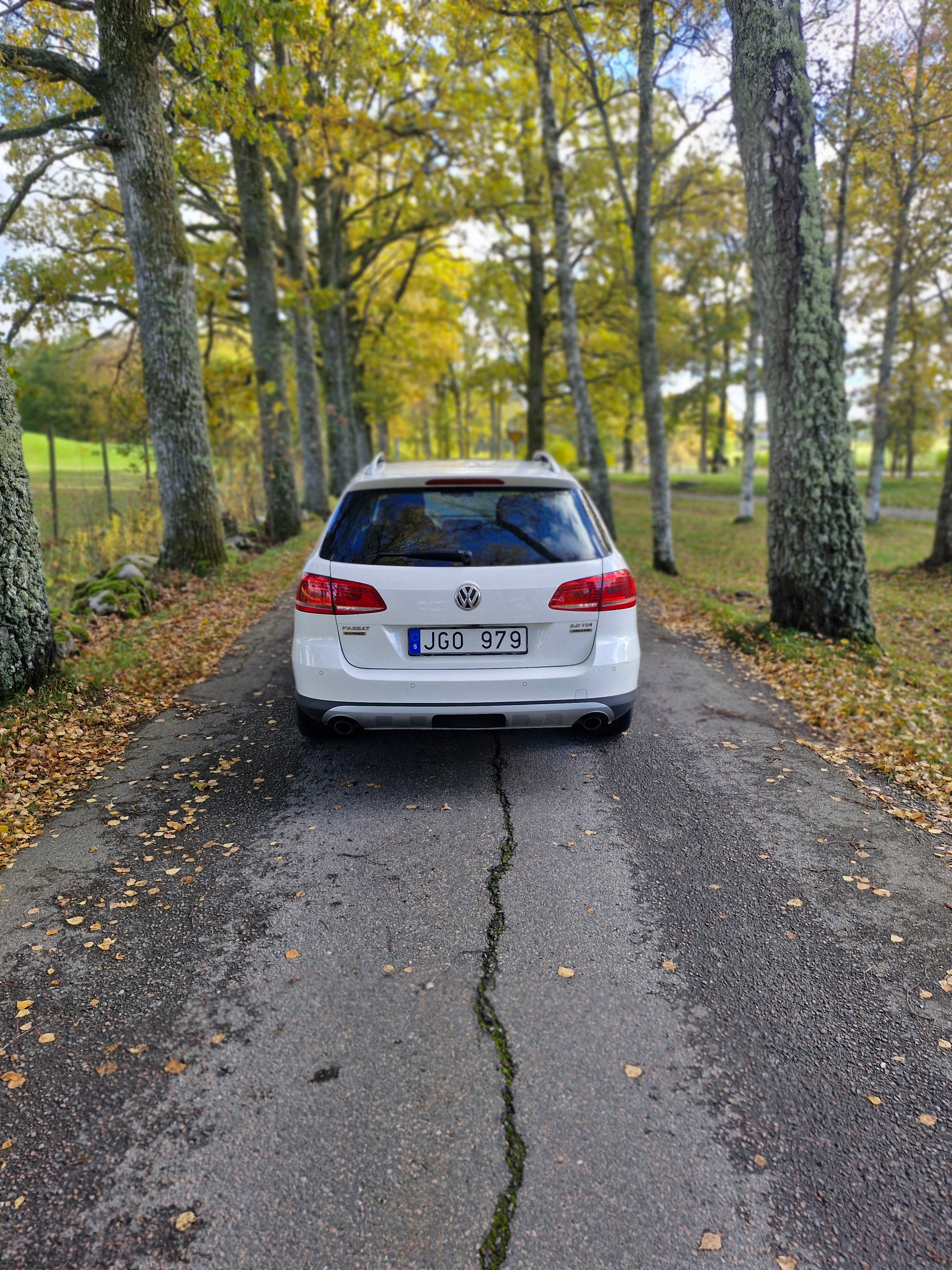 Volkswagen Passat Alltrack 2.0 TDI 2014, bild 3/9