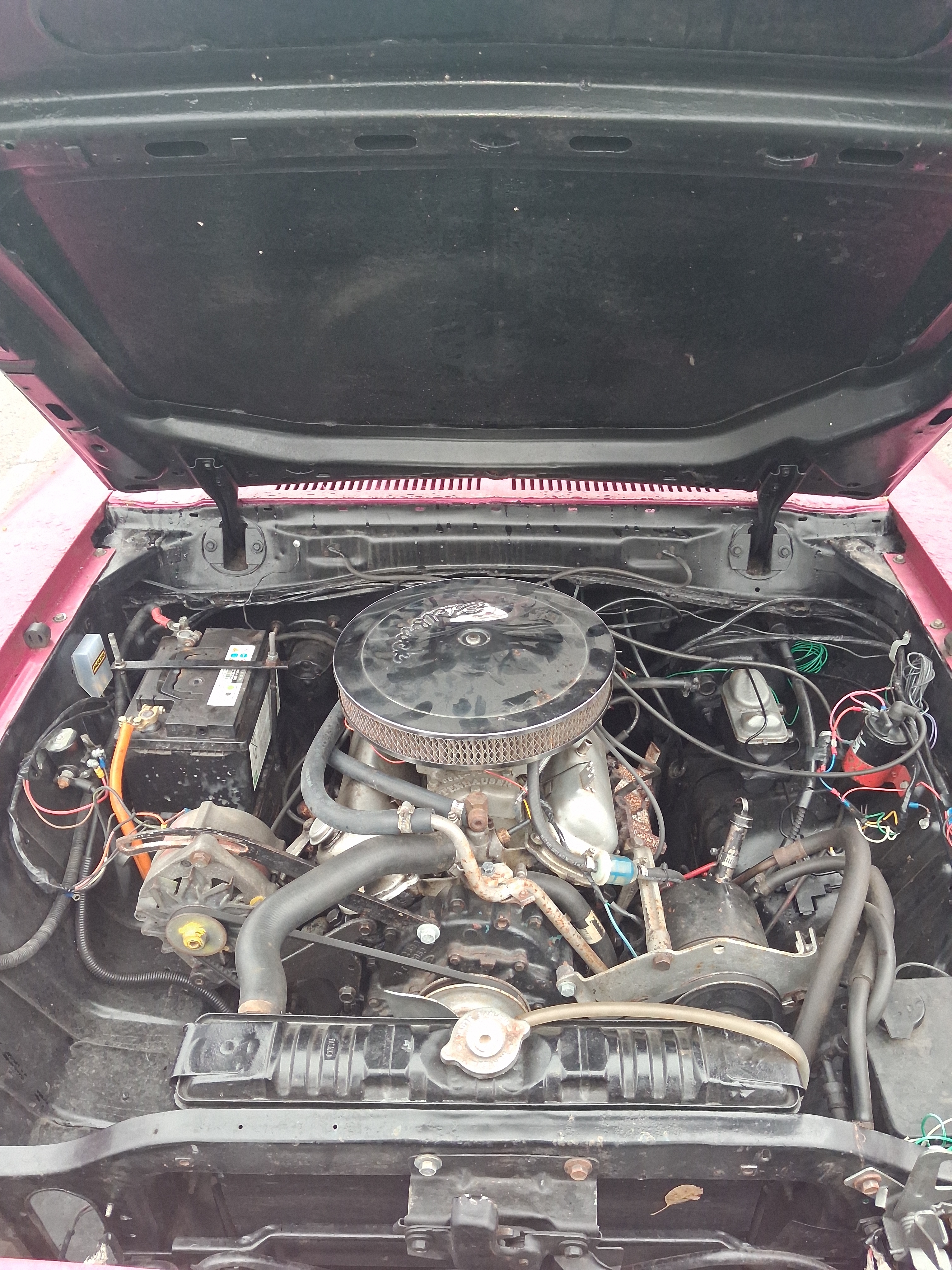 Ford Mustang 1974, bild 5/8